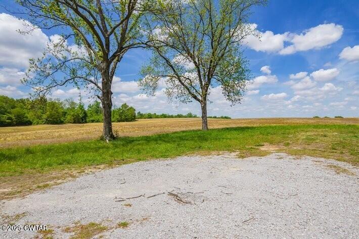 Brownsville, Tennessee, 38012, United States, ,Land,For Sale,1894803