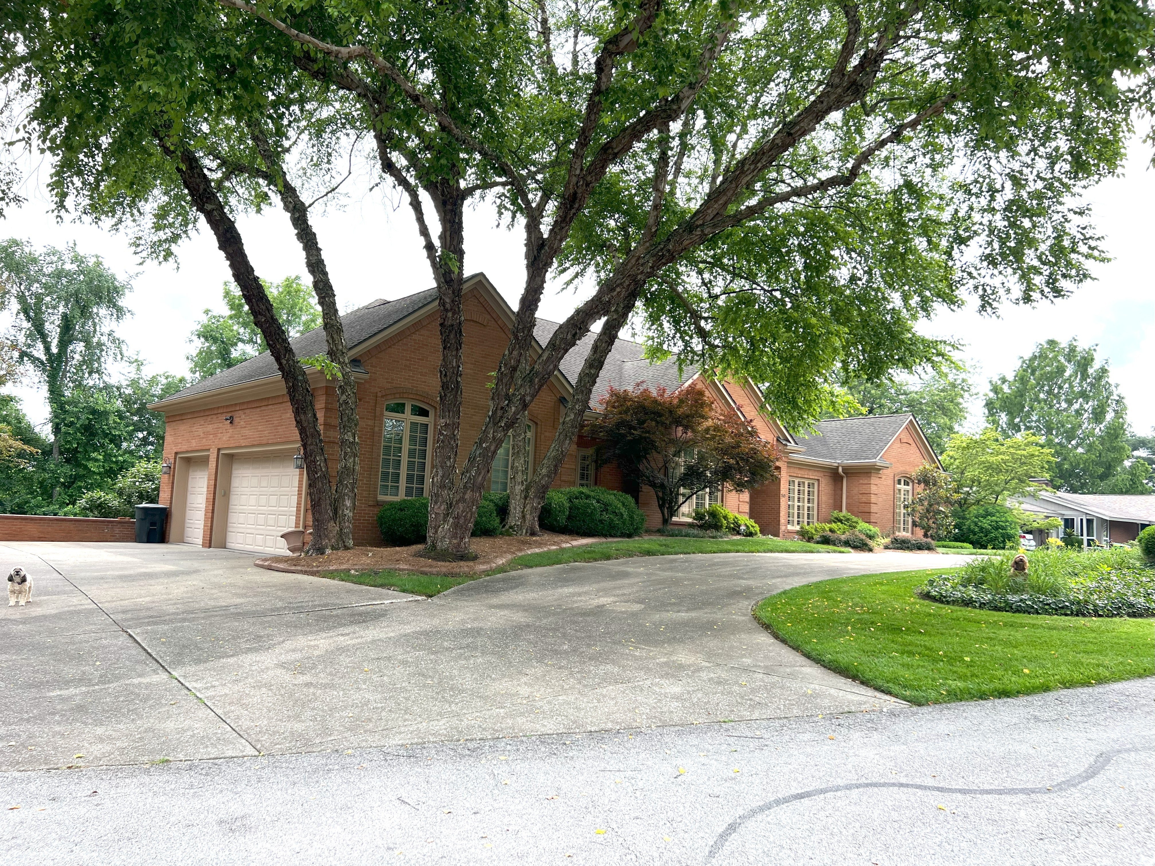 Frankfort, Kentucky, 40601, United States, 5 Bedrooms Bedrooms, ,4 BathroomsBathrooms,Residential,For Sale,1983551