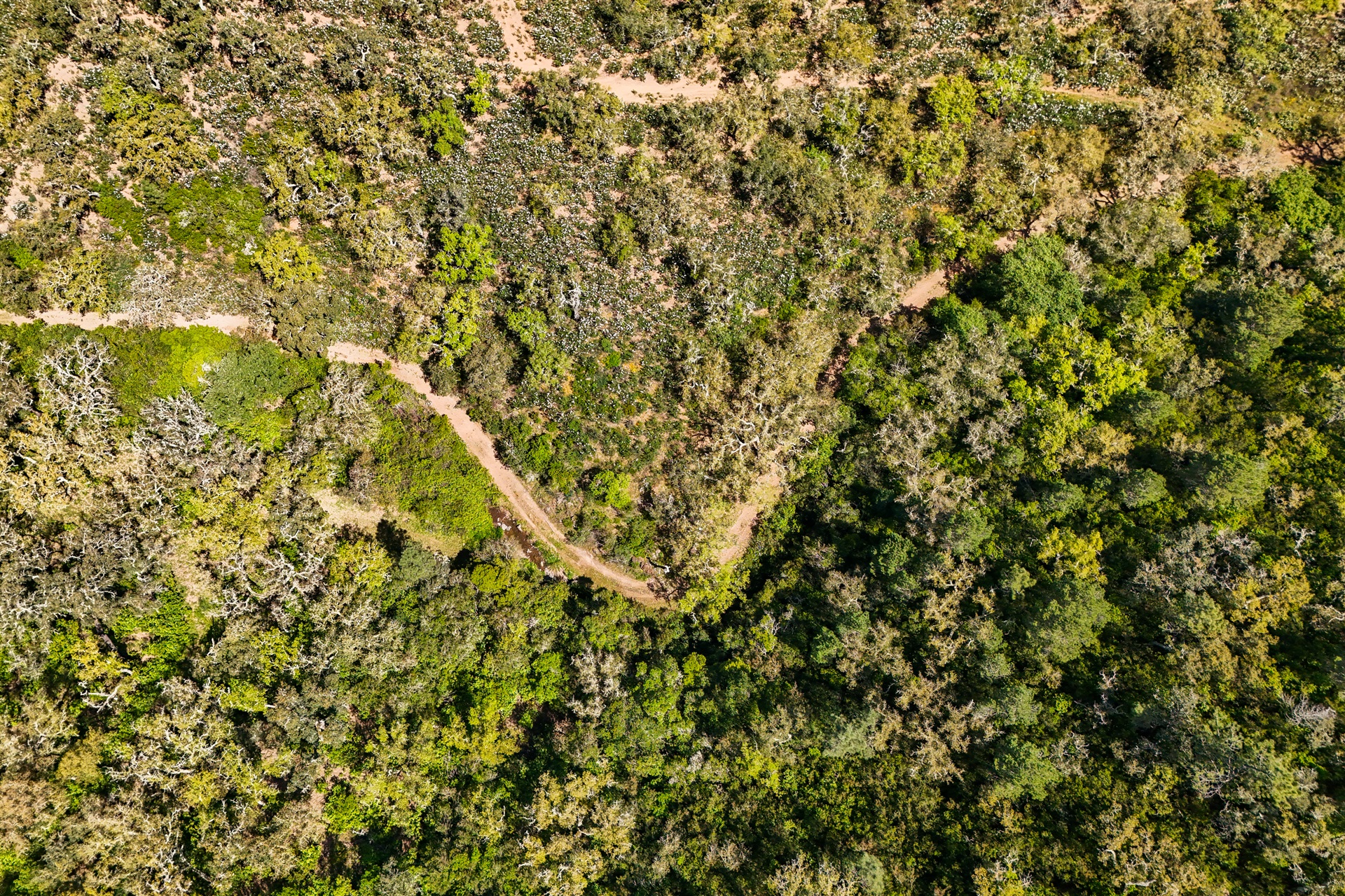  Real estate land for Sale - 物件實景