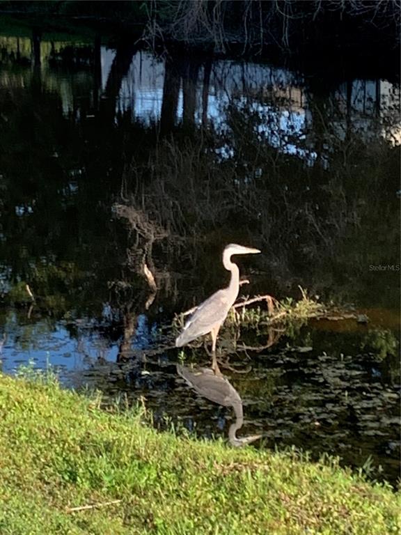 Port Charlotte, Florida, 33954, United States, 3 Bedrooms Bedrooms, ,3 BathroomsBathrooms,Residential,For Sale,1935486