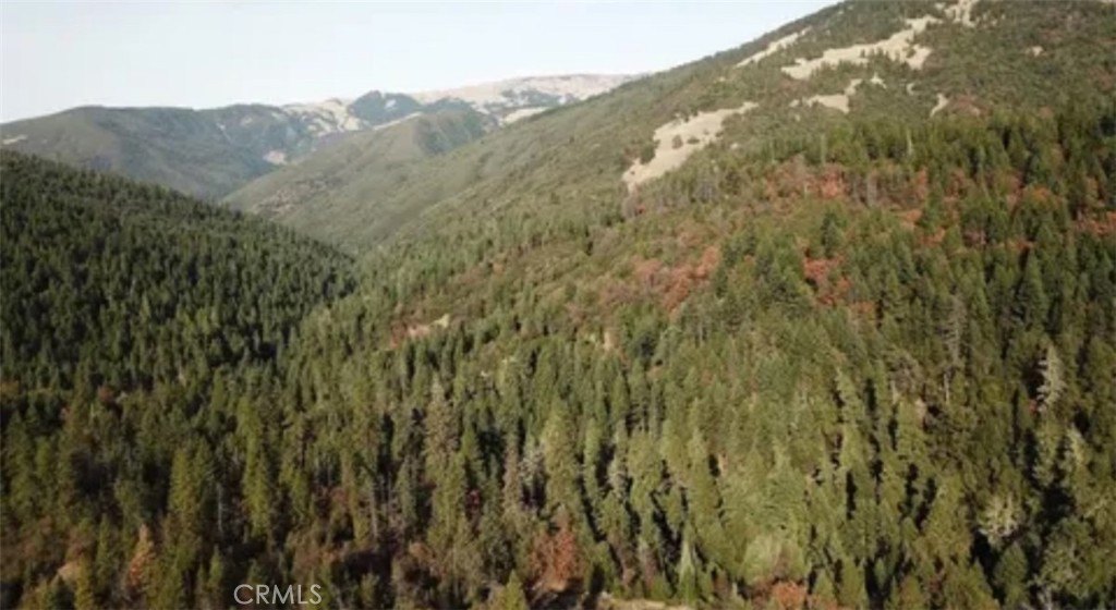 Covelo, California, 95428, United States, ,Residential,For Sale,1845669