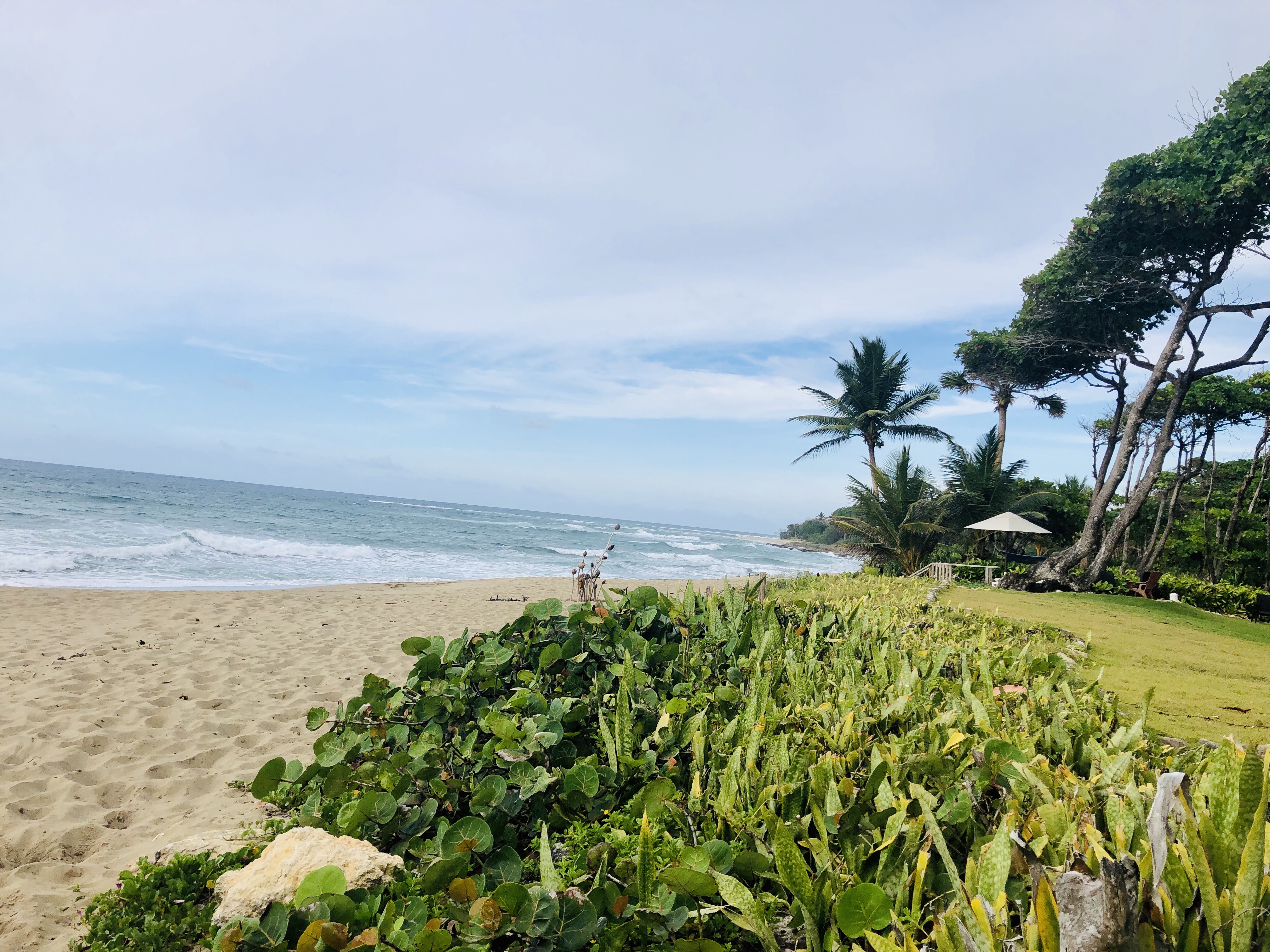 Cabarete, DO, 5 Bedrooms Bedrooms, ,4 BathroomsBathrooms,Residential,For Sale,1626326