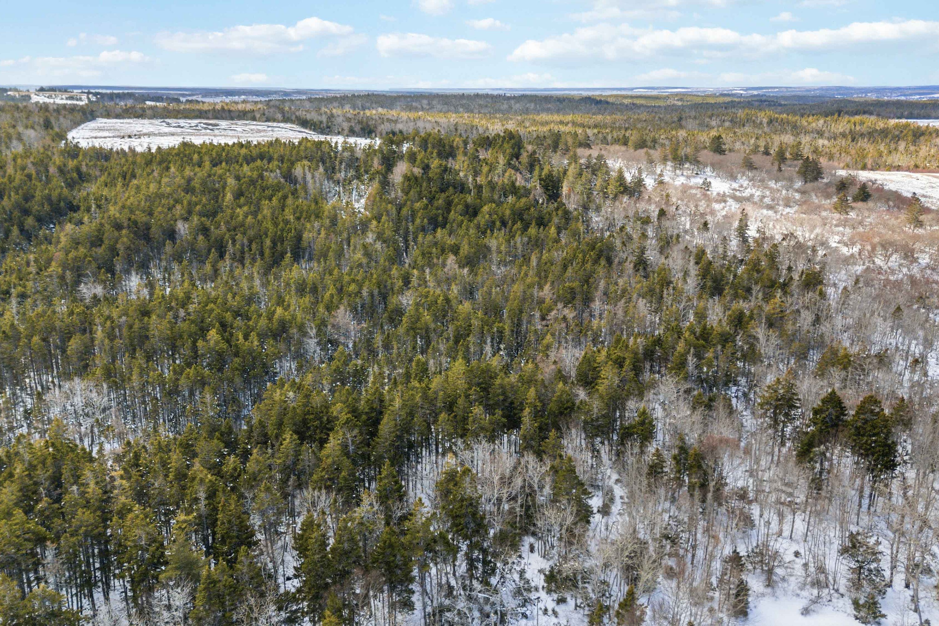  Lower Rose Bay, - 物件實景
