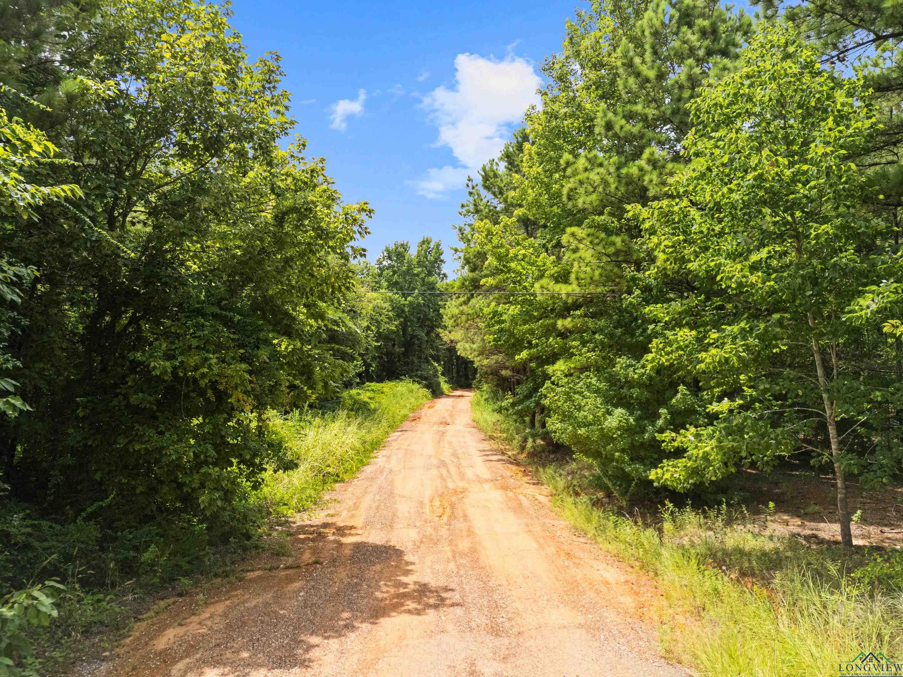 Kilgore, Texas, 75662, United States, ,Land,For Sale,1902397
