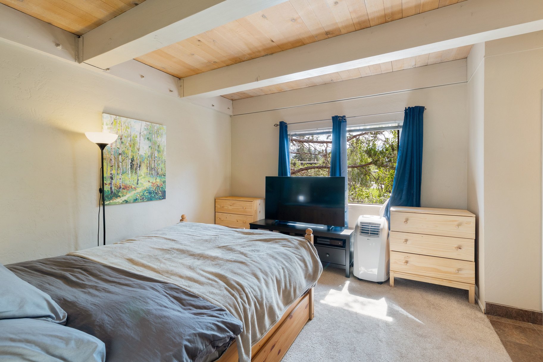  Tahoe Keys Waterfront Townhome - 物件實景