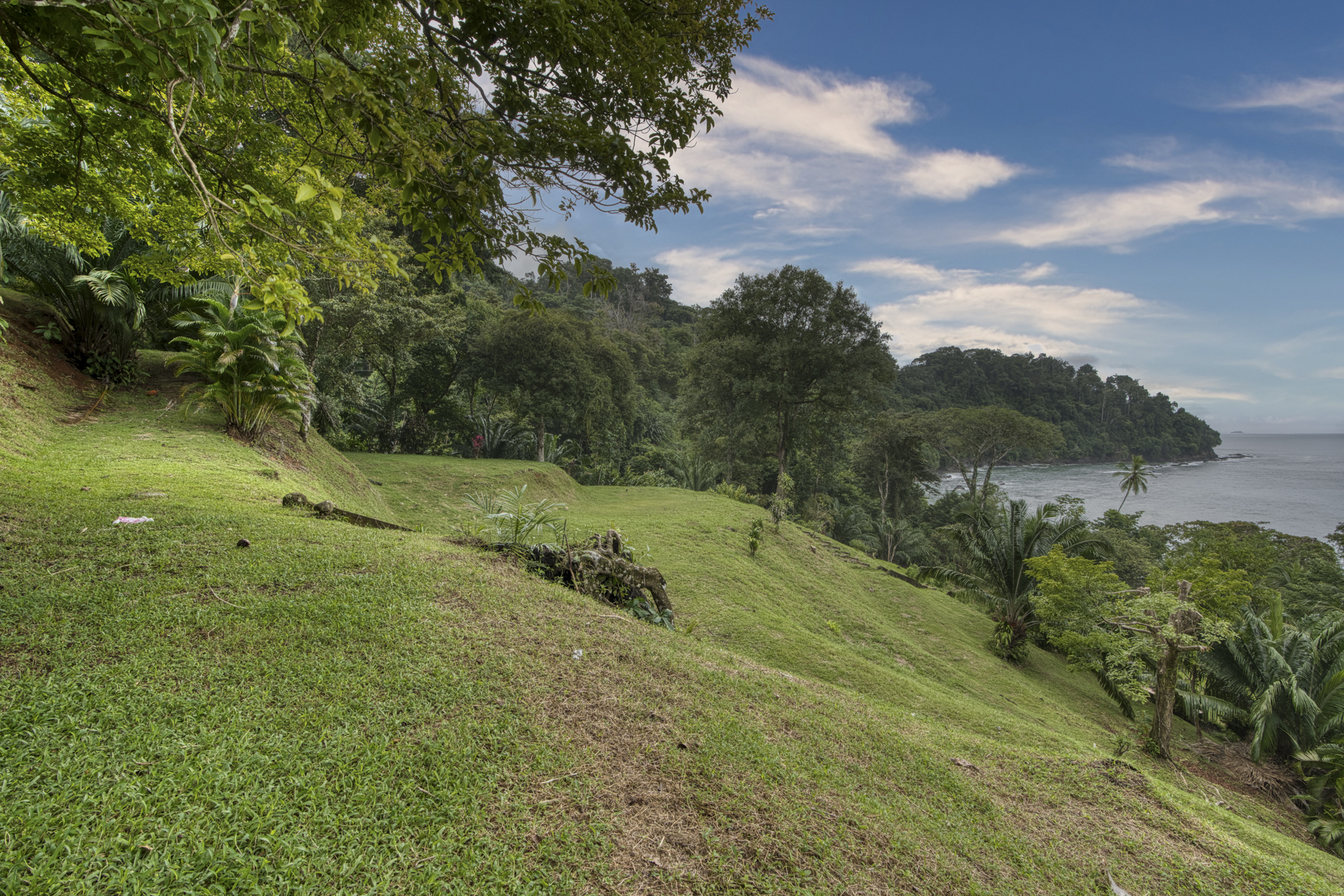 Dominical, Puntarenas, CR, ,Land,For Sale,1839872