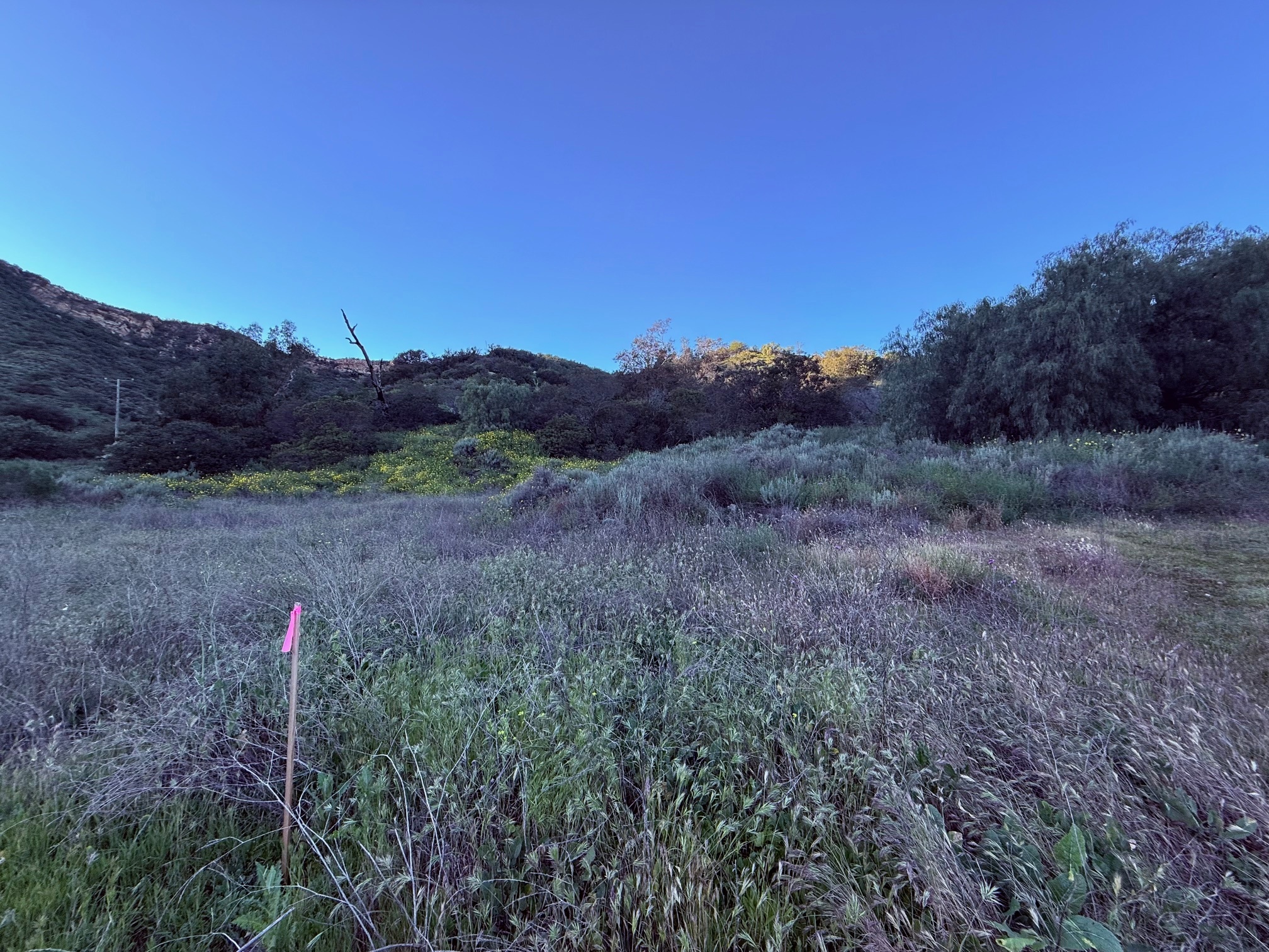  23629 Zuniga Rd - 物件實景