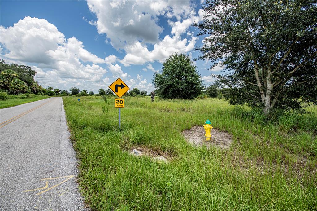 Arcadia, Florida, 34269, United States, ,Land,For Sale,1997252