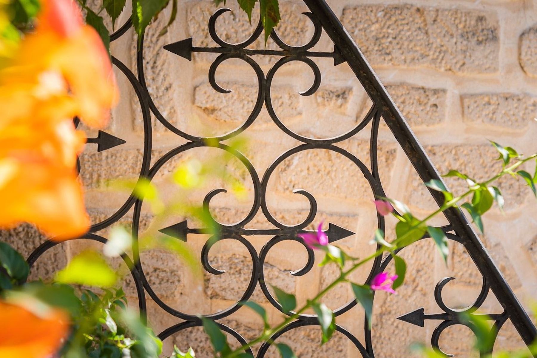  EXCLUSIVE - Traditional property on divisible land -Montpellier Sotheby’s Inter… - 物件實景