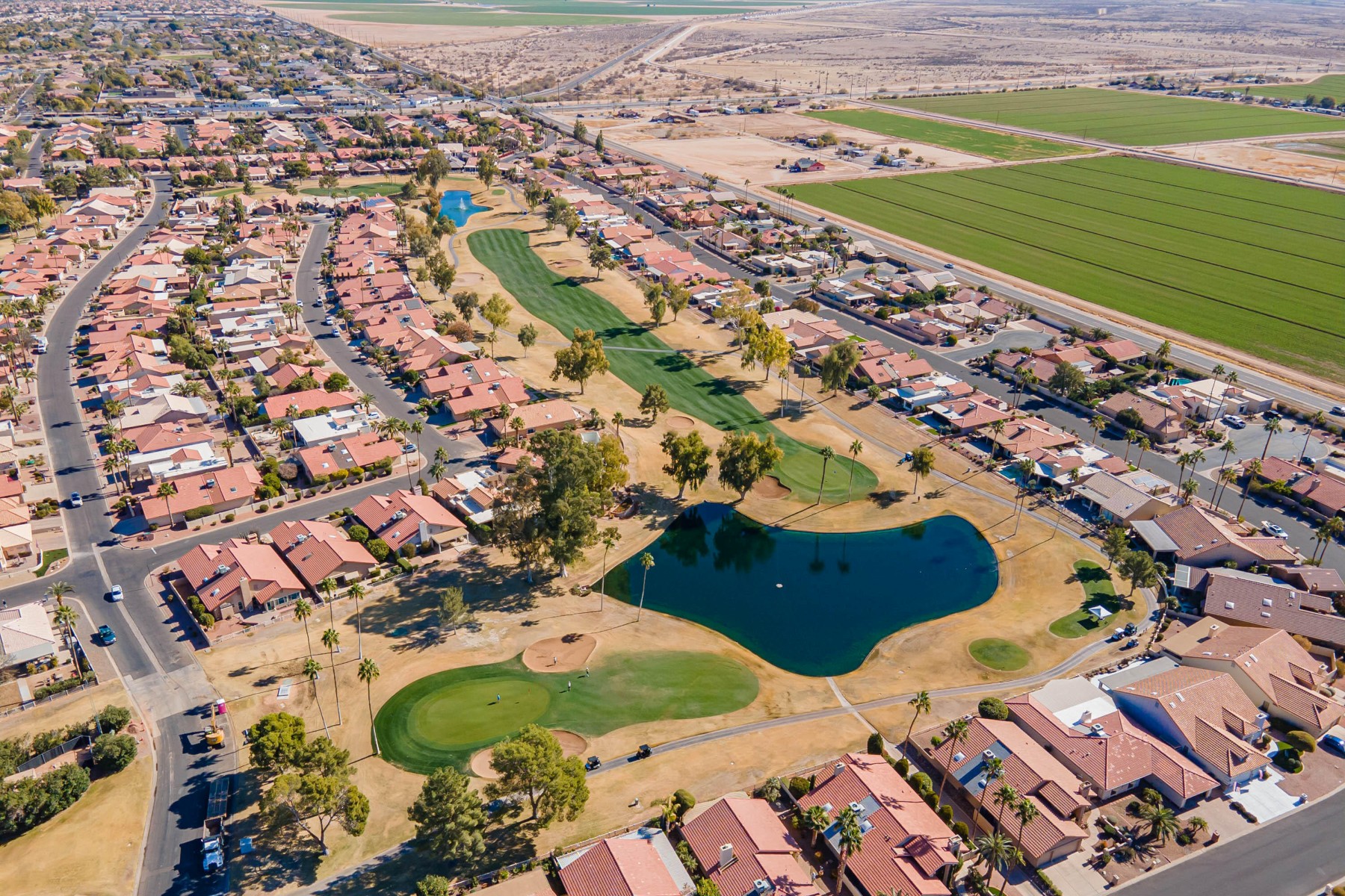  26202 S Flame Tree Drive  Sun Lakes, AZ - 物件實景