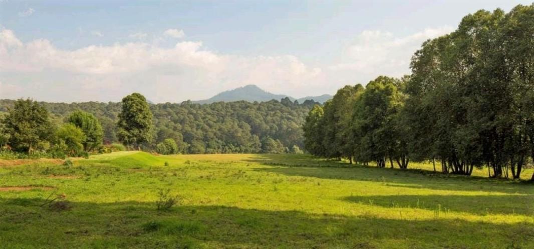 Valle de Bravo, Estado de México, 51200, Mexico, 4 Bedrooms Bedrooms, ,4 BathroomsBathrooms,Residential,For Sale,1739143