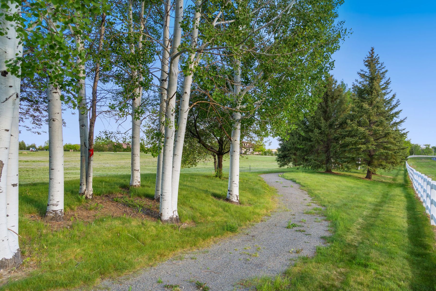  Exceptional Opportunity to Create a Signature Estate on Approximately 10 Acres - 物件實景