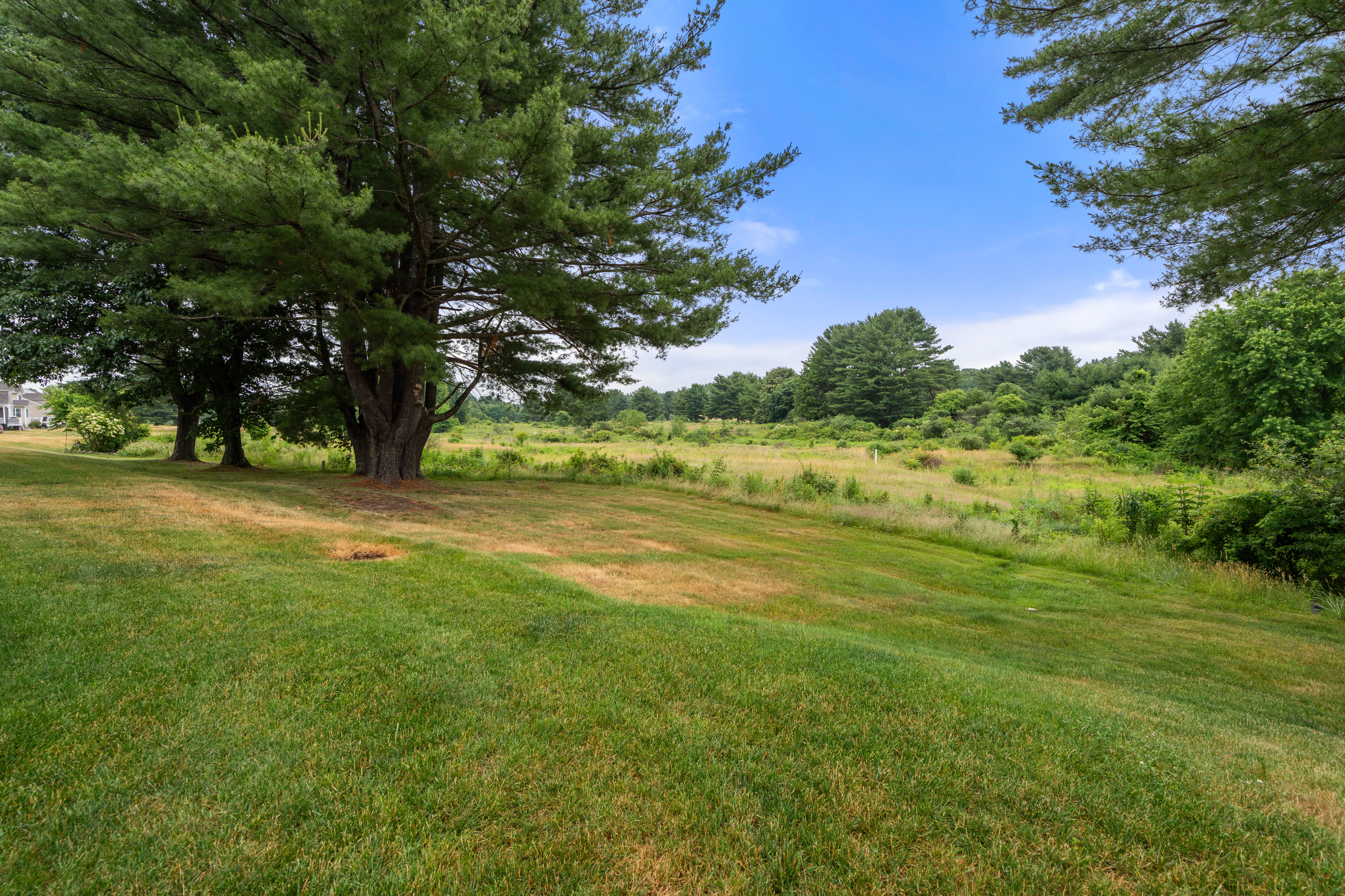  20 Glen Ellen Boulevard, Unit 20, Millis, MA, 02054 - 物件實景