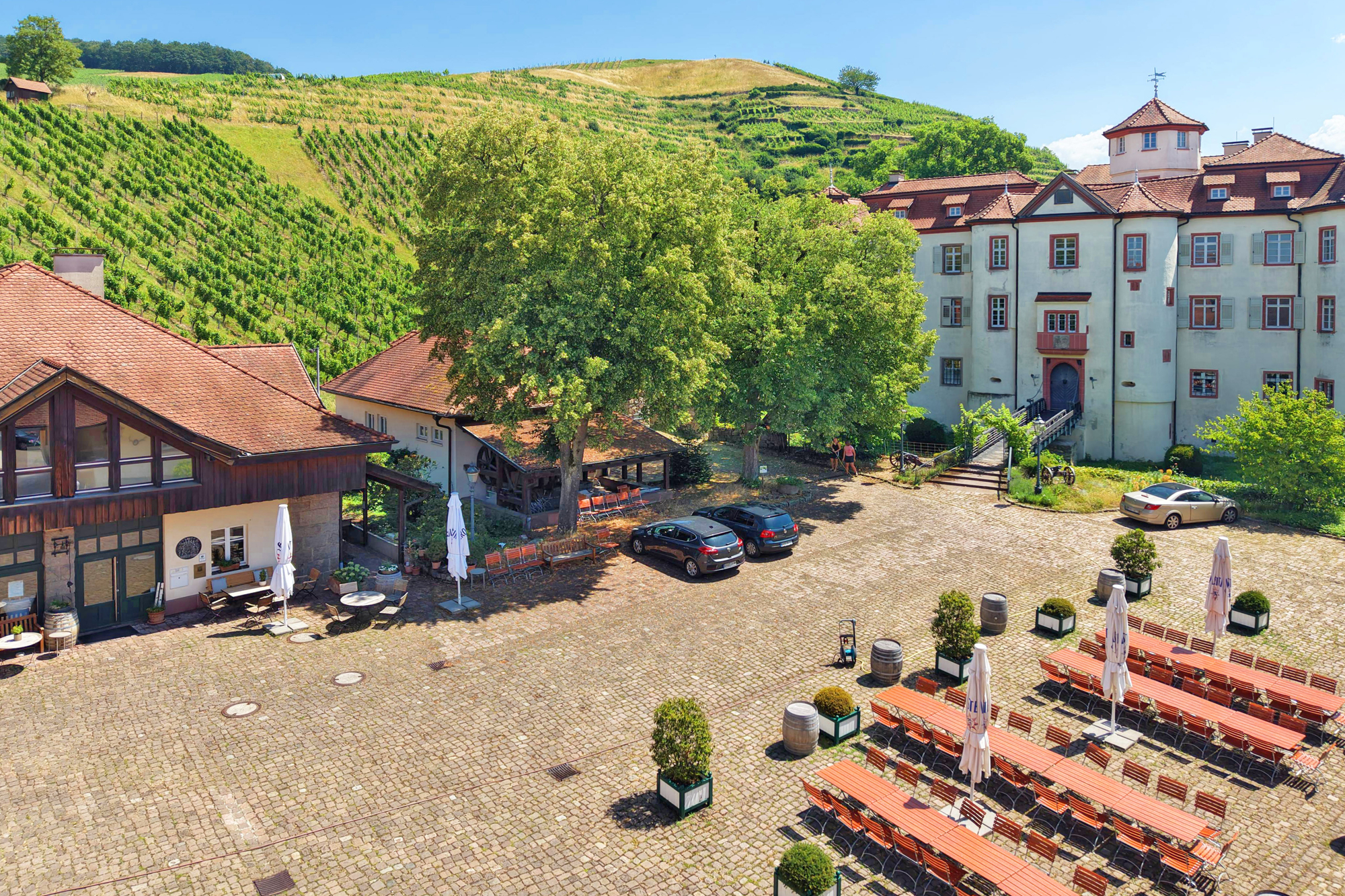  Neuweier Castle - Living and Working on a Historic Winery Estate - 物件實景