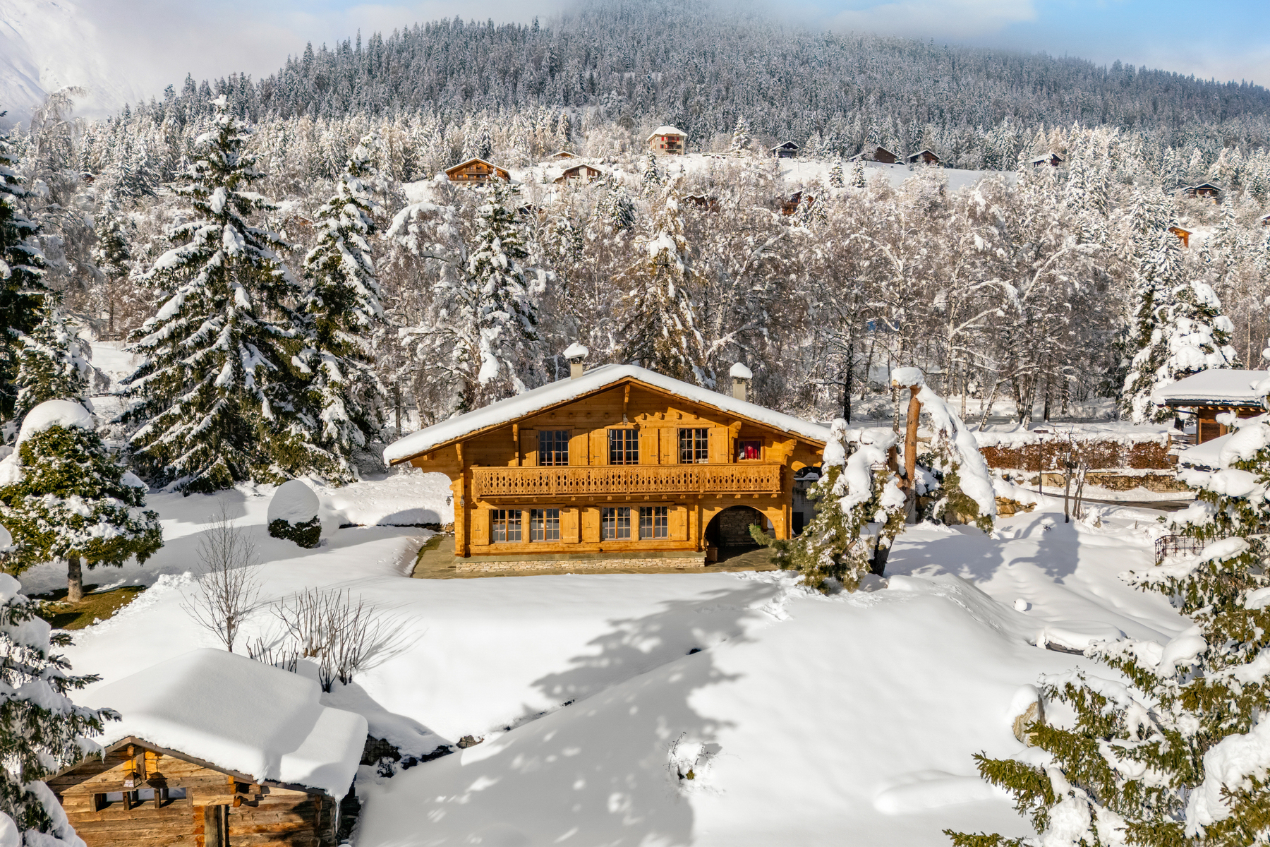  Unique estate of two chalets with panoramic views - 物件實景