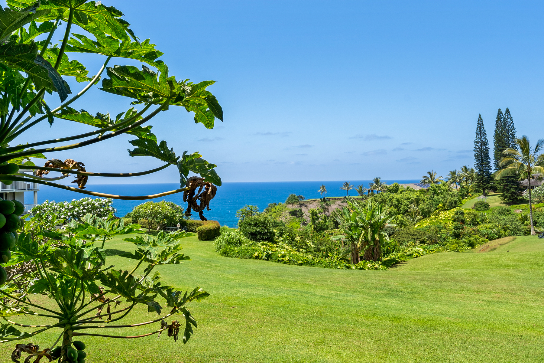  3811 Edward Rd, Princeville, HI, 96722 - 物件實景