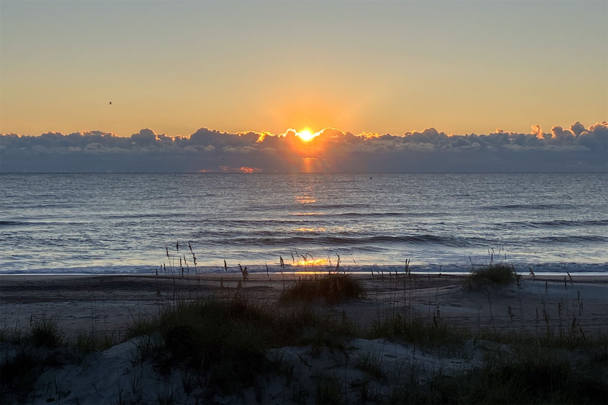 Fernandina Beach, Florida, 32034, United States, 3 Bedrooms Bedrooms, ,3 BathroomsBathrooms,Residential,For Sale,2016912