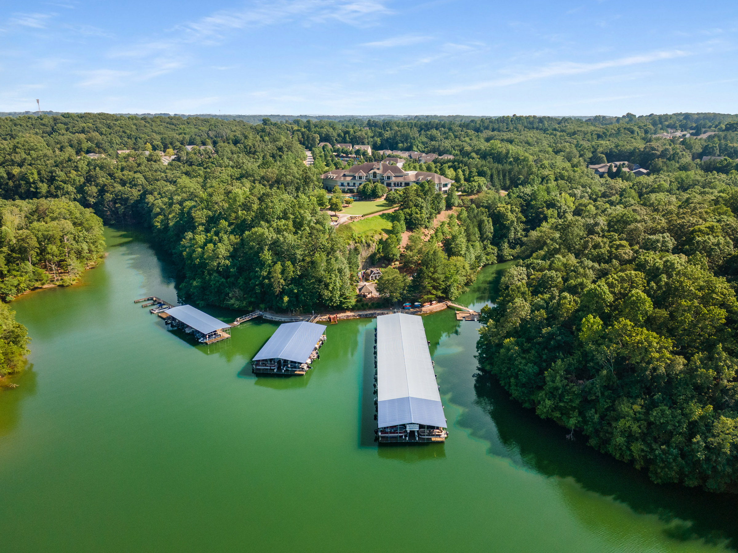  Unrivaled Curated Luxury at Cresswind at Lake Lanier - 物件實景