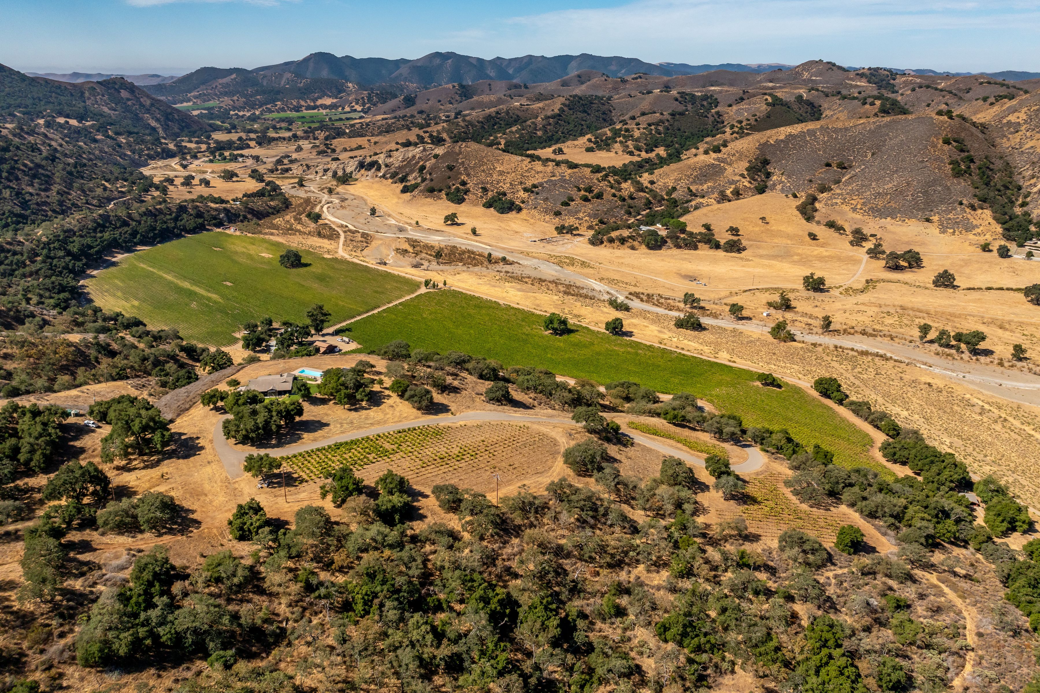  Extraordinary Vineyard Estate - 物件實景
