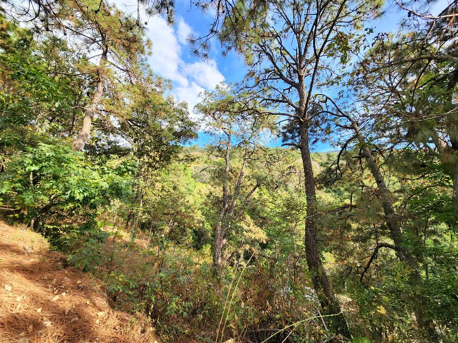 Valle de Bravo, Estado de México, 51204, Mexico, 1 Bedroom Bedrooms, ,Residential,For Sale,1720701