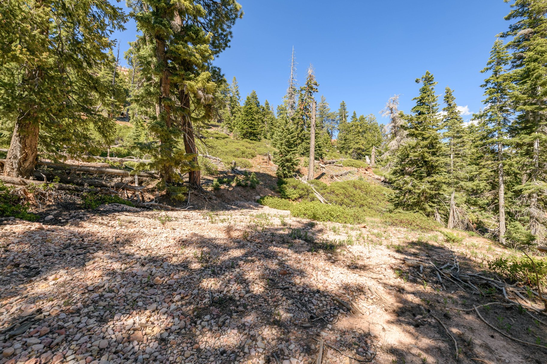  Quiet Mountain Retreat Near Navajo Lake - 物件實景