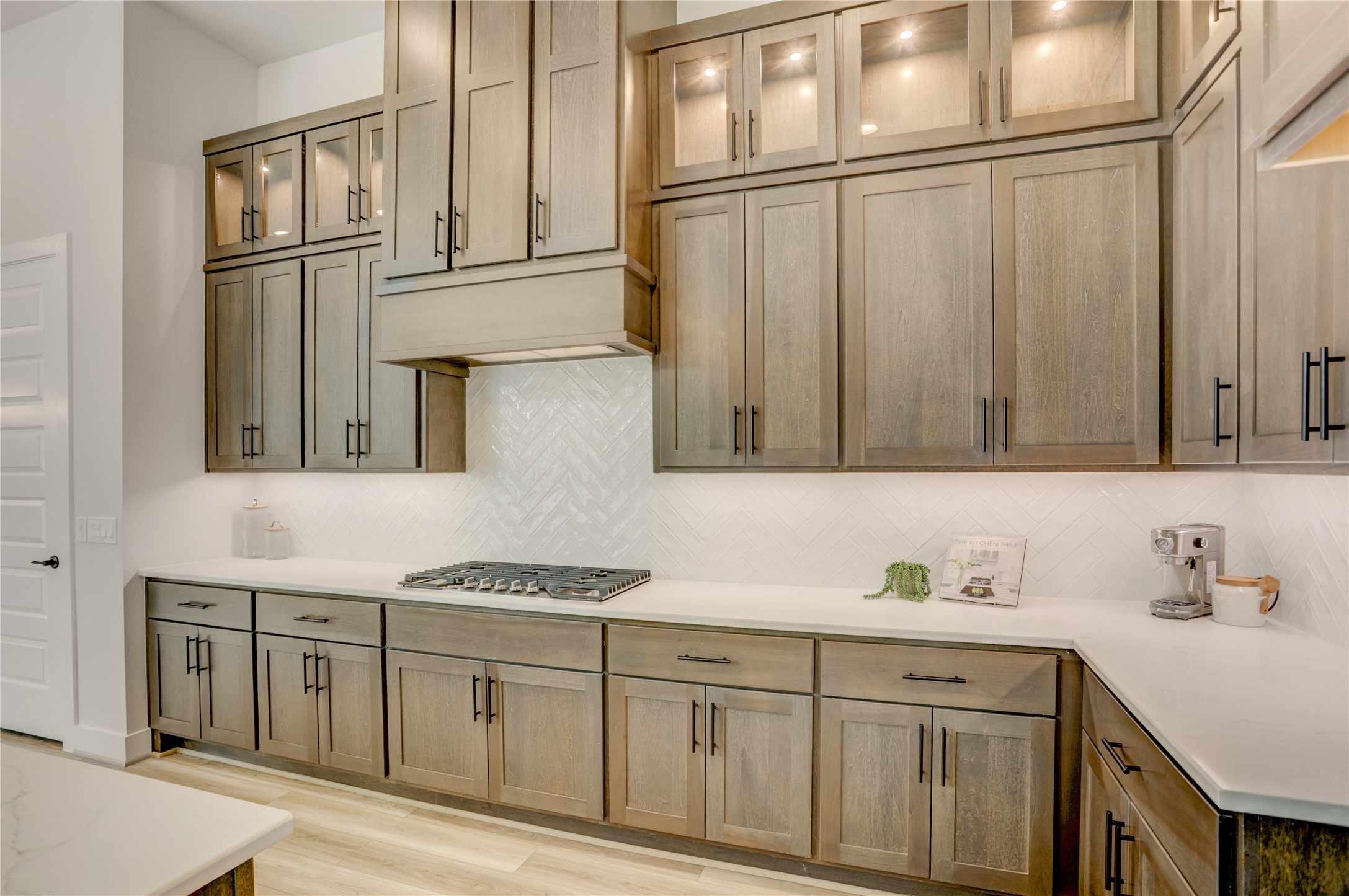 32510 Ebony Jewelwing Court - 物件實景