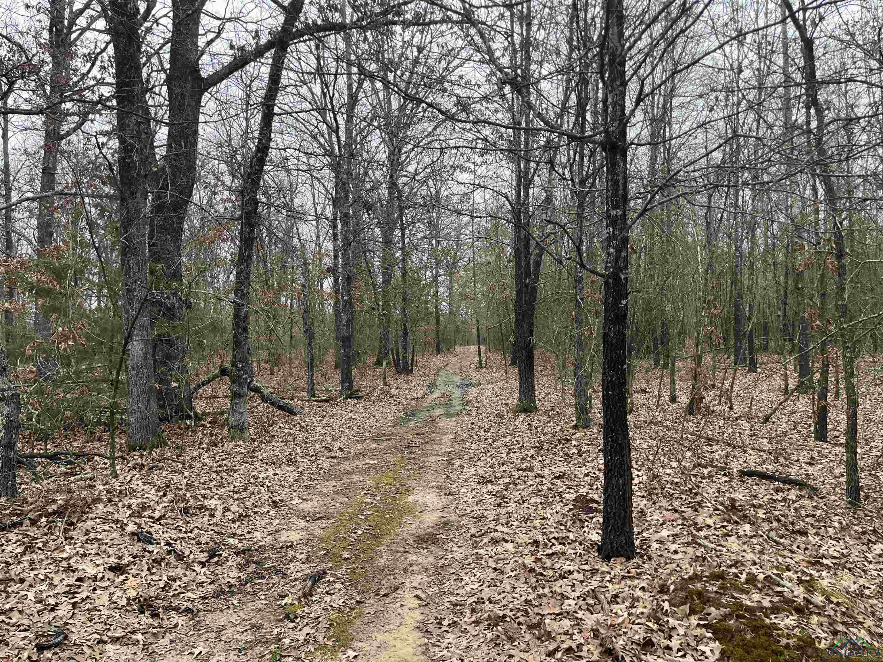 Bogata, Texas, 75417, United States, ,Land,For Sale,1713371