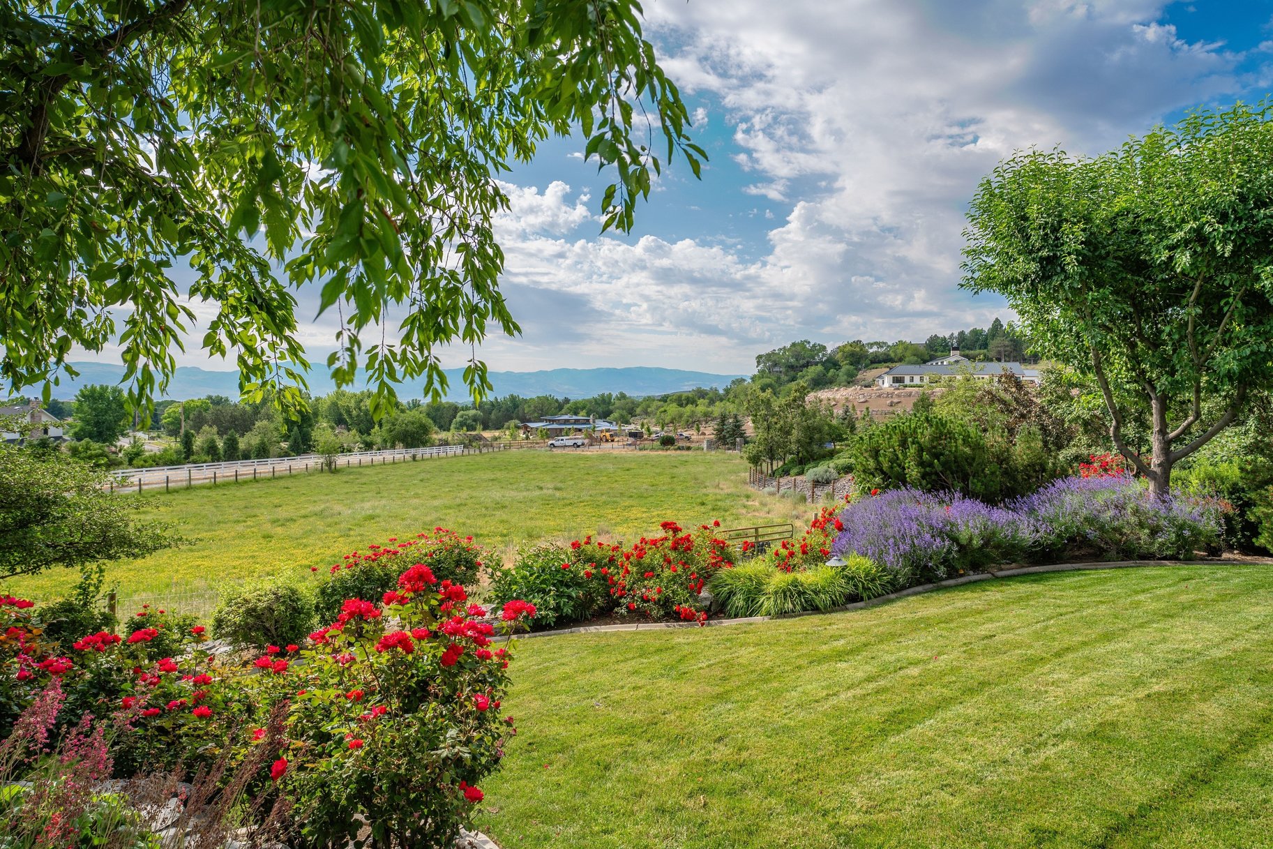  Windy Hill Luxury Estate  5 Acres of Privacy and Prestige - 物件實景