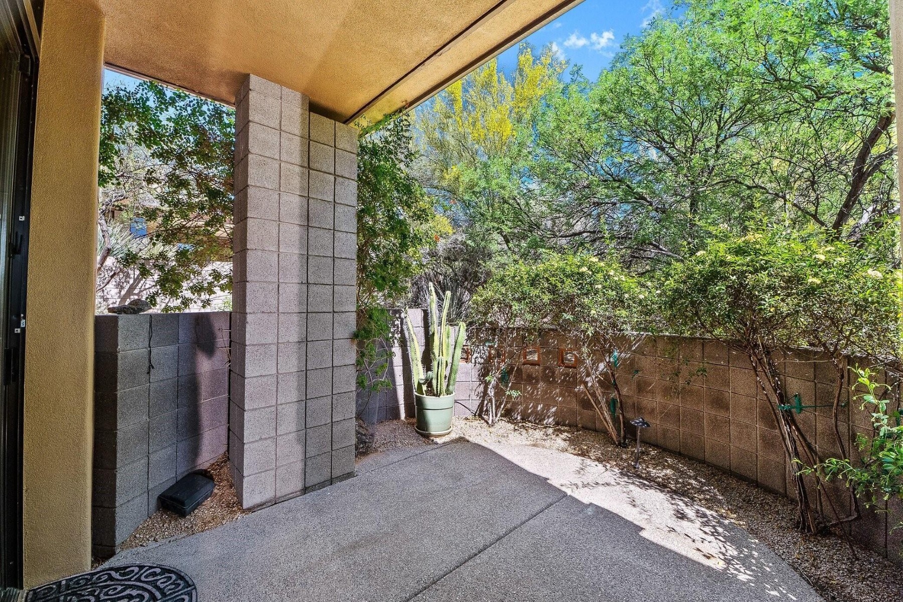  10675 E Fernwood Ln  Scottsdale, AZ - 物件實景