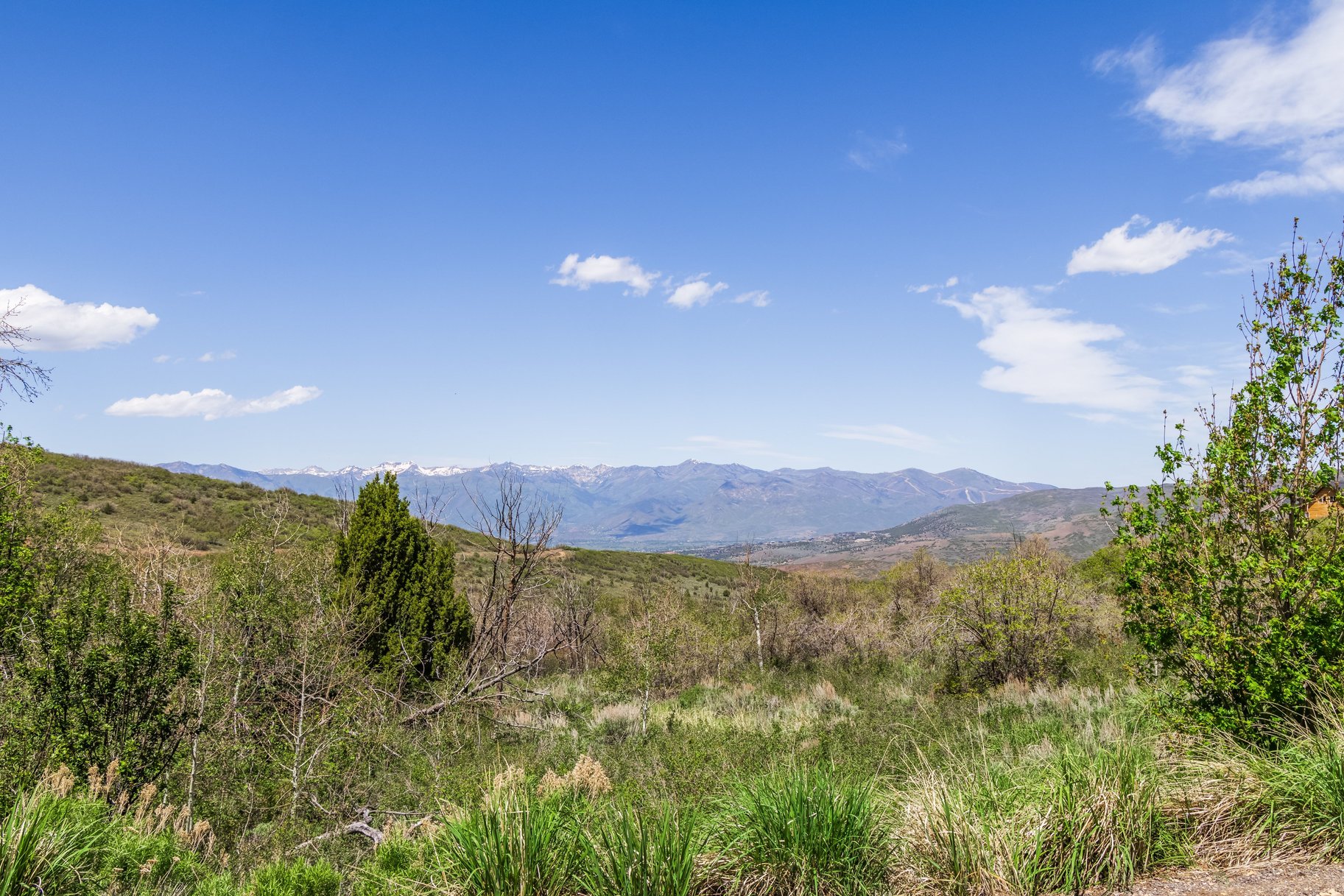  Rare Timber Lakes Lot 4.29 Acres & West Facing - 物件實景