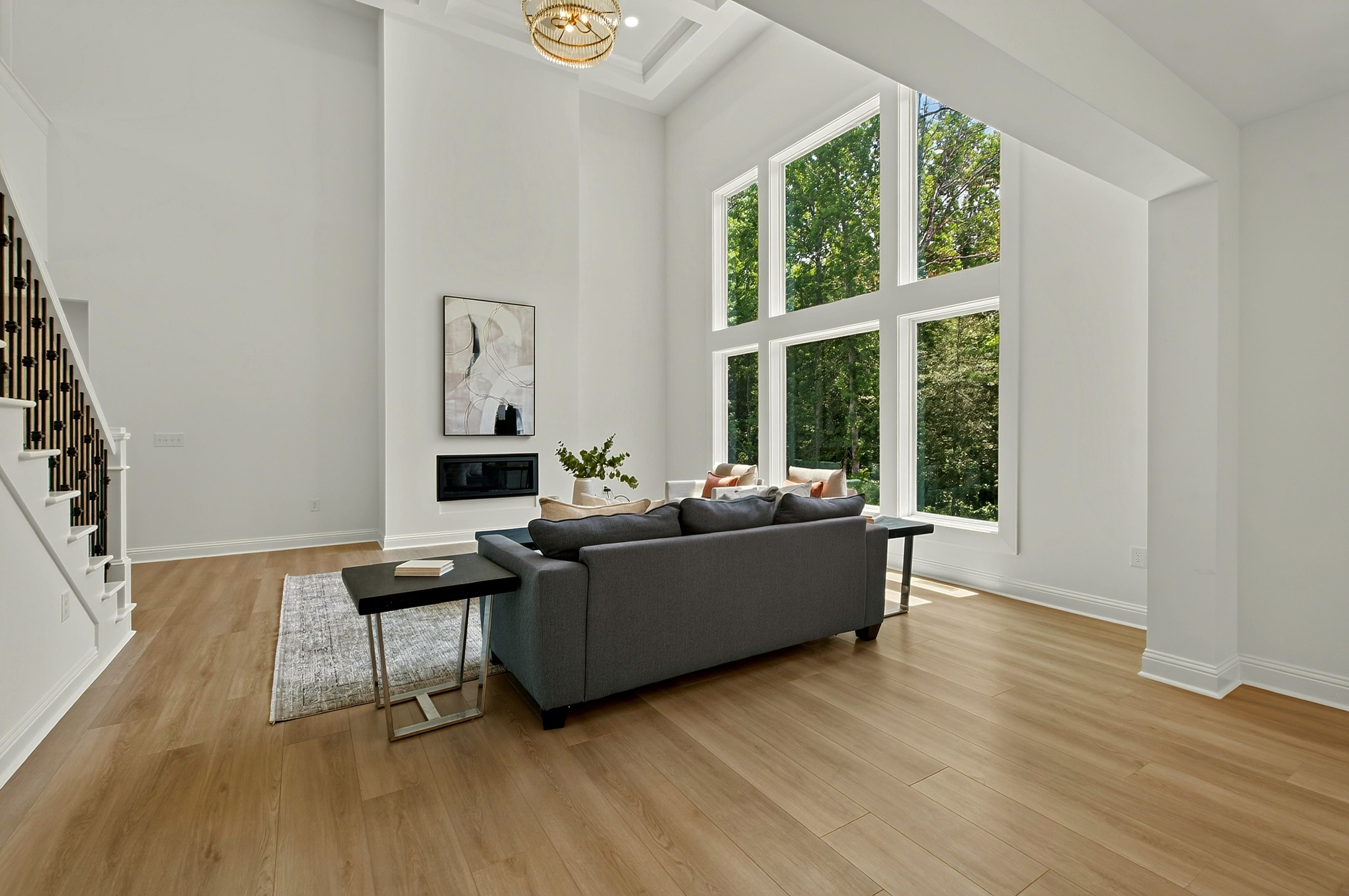  197 Silverside Drive, Angier, NC 27501 - 物件實景
