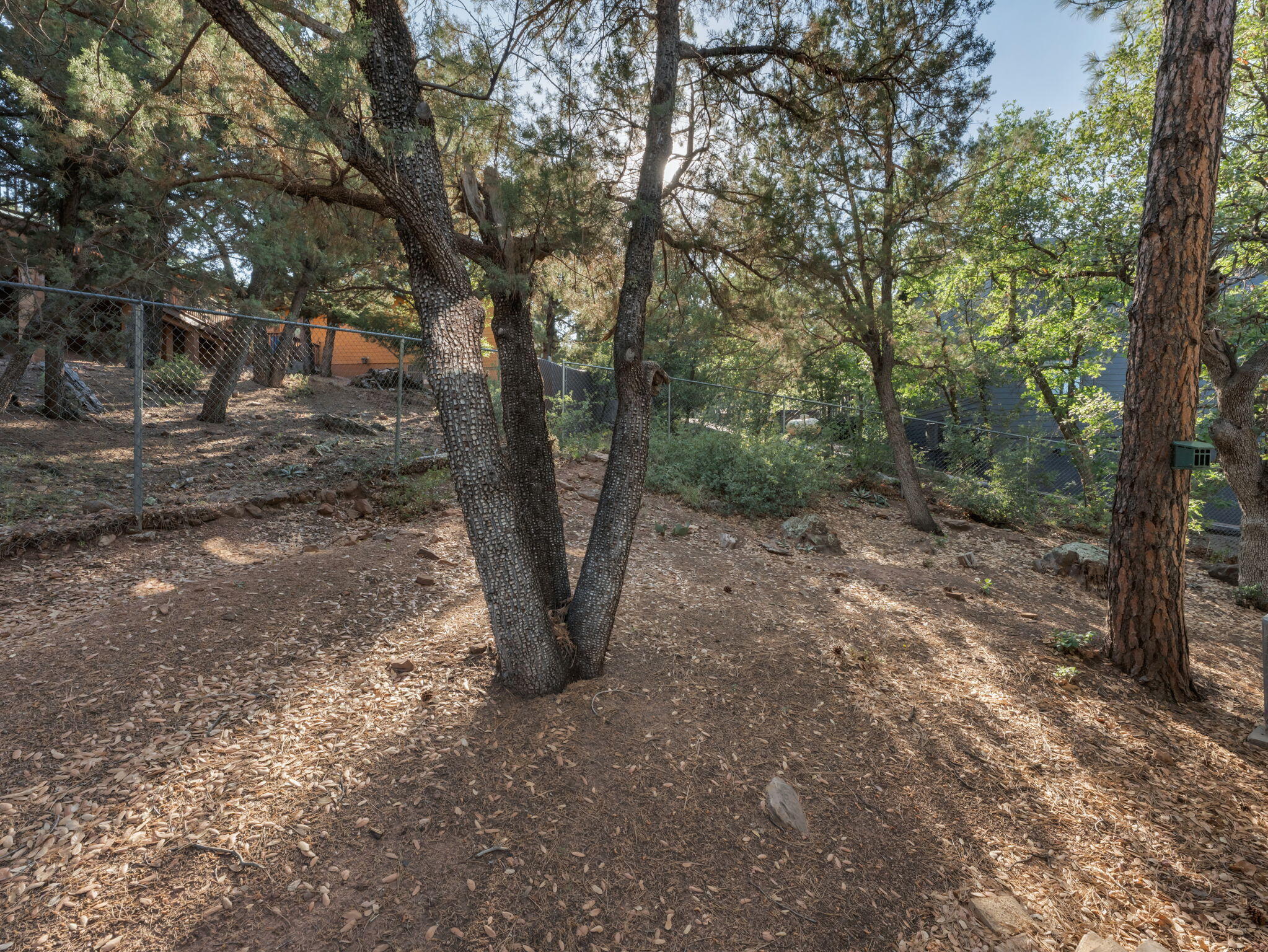 Pine, Arizona, 85544, United States, 3 Bedrooms Bedrooms, ,1 BathroomBathrooms,Residential,For Sale,1862408