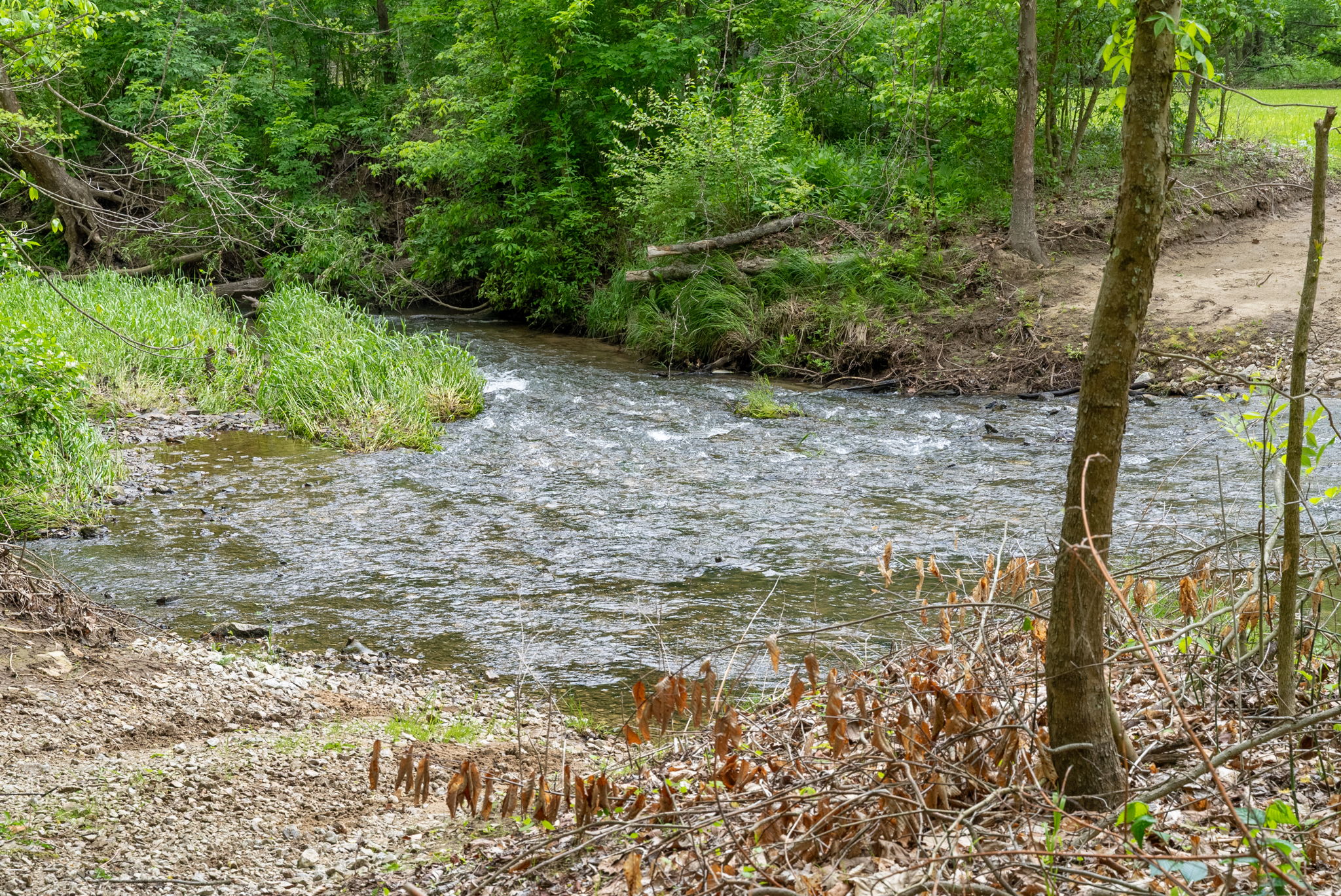 Rosedale, Indiana, 47874, United States, ,Land,For Sale,2049036