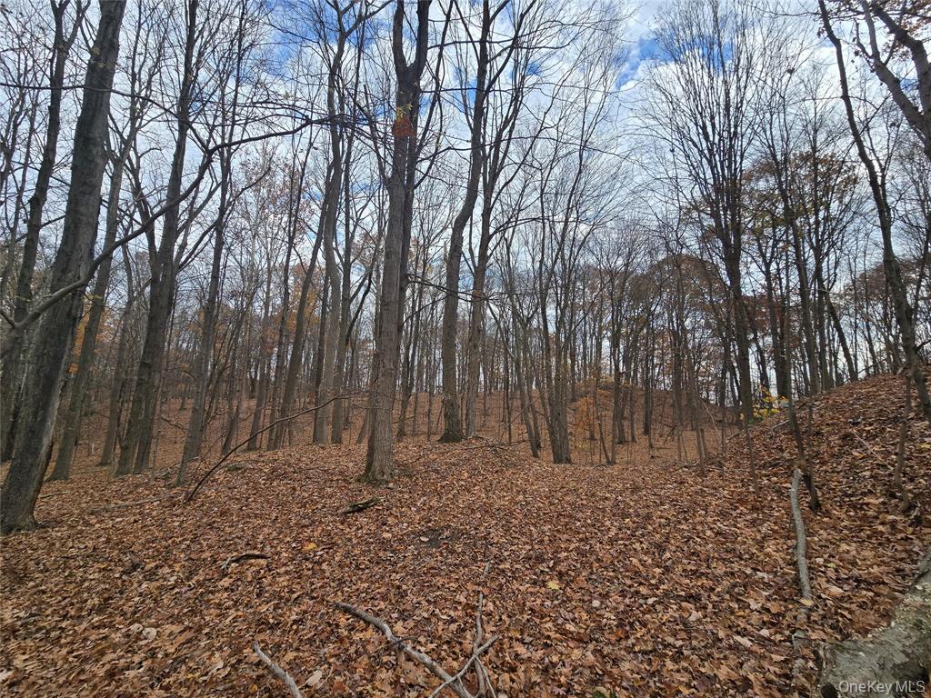 Highland, New York, 12528, United States, ,Residential,For Sale,1989942