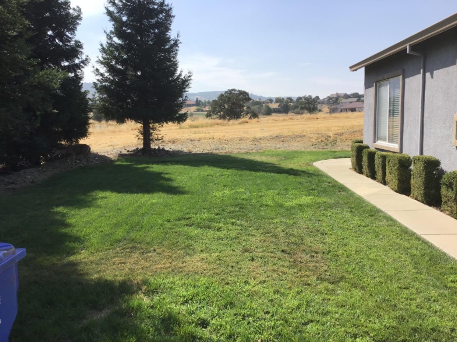 205 Quail Meadow Lane, Copperopolis, California, 95228, United States, 3 Bedrooms Bedrooms, ,3 BathroomsBathrooms,Residential,For Sale,205 Quail Meadow Lane,1664769
