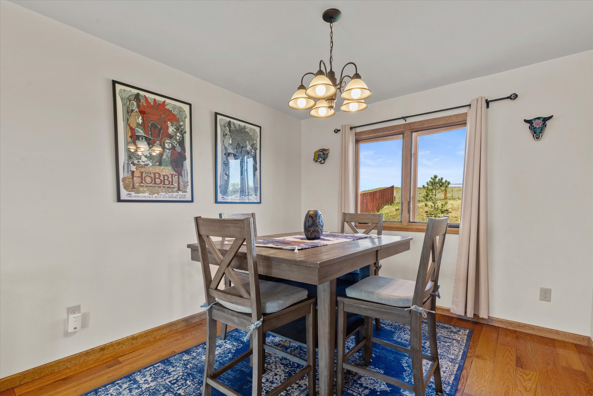  366 Lake View Road, Steamboat Springs, CO, 81639 - 物件實景