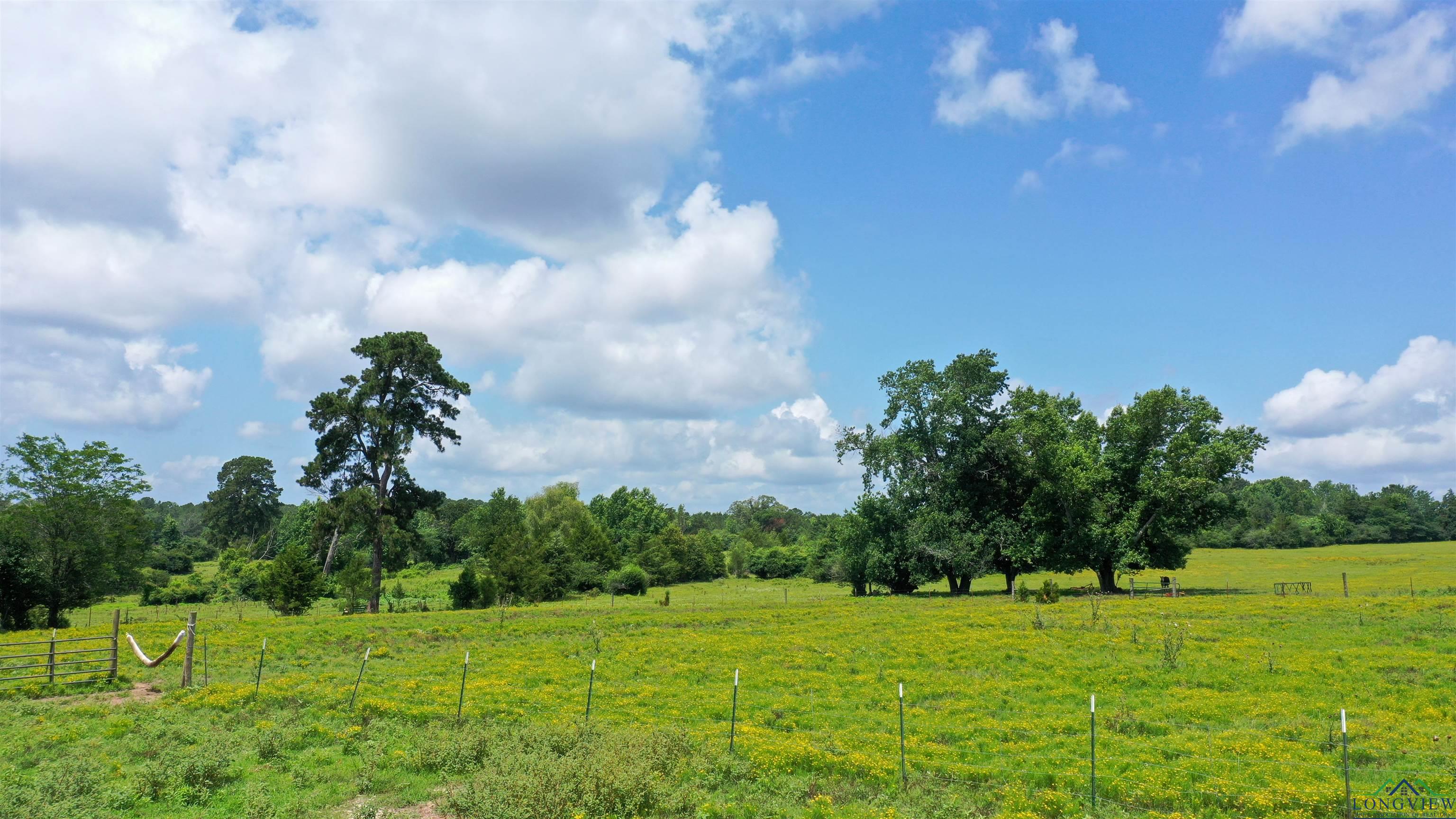 Linden, Texas, 75563, United States, ,Residential,For Sale,1809519