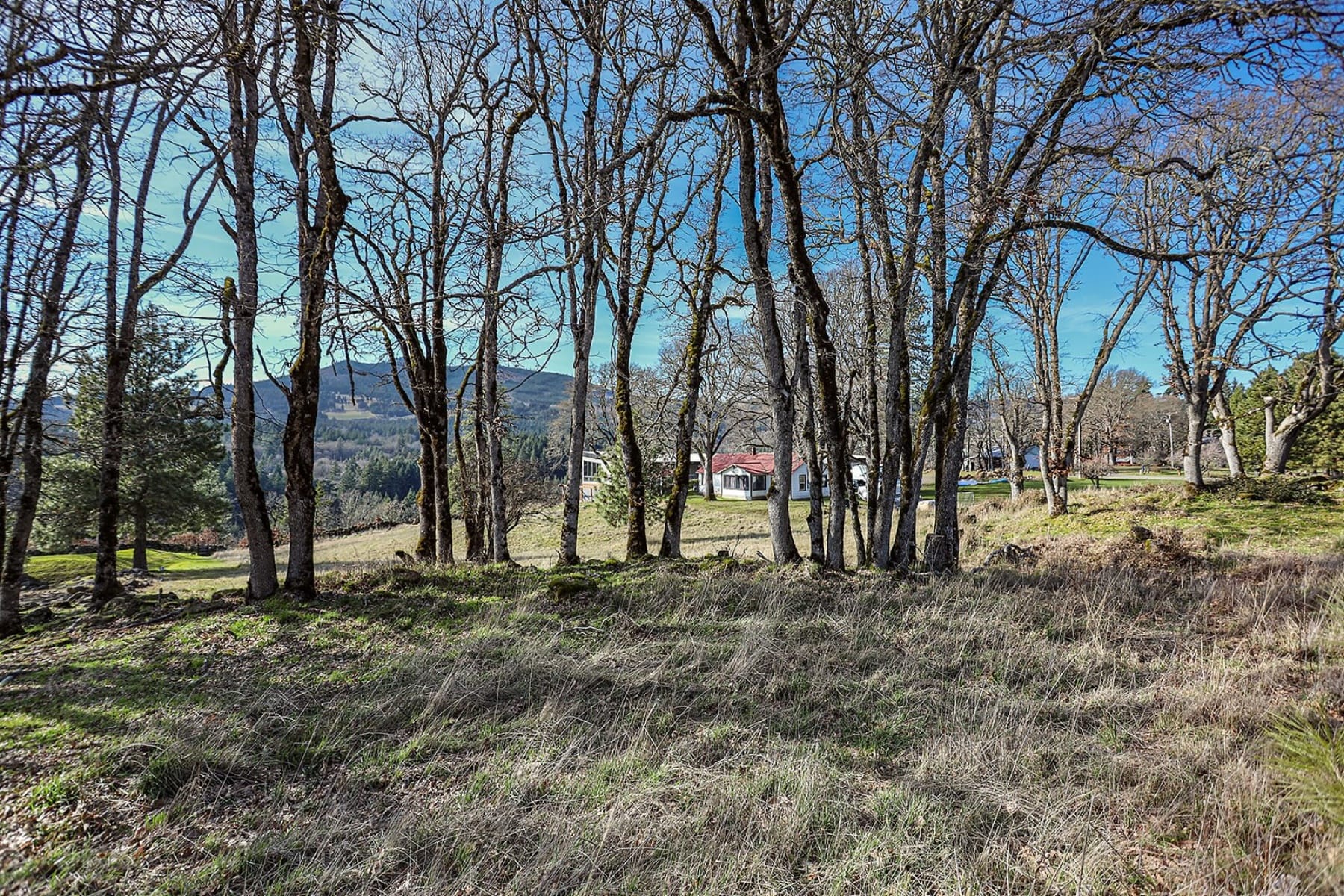  1170 SW THORNTON DR White Salmon, WA 98672 - 物件實景