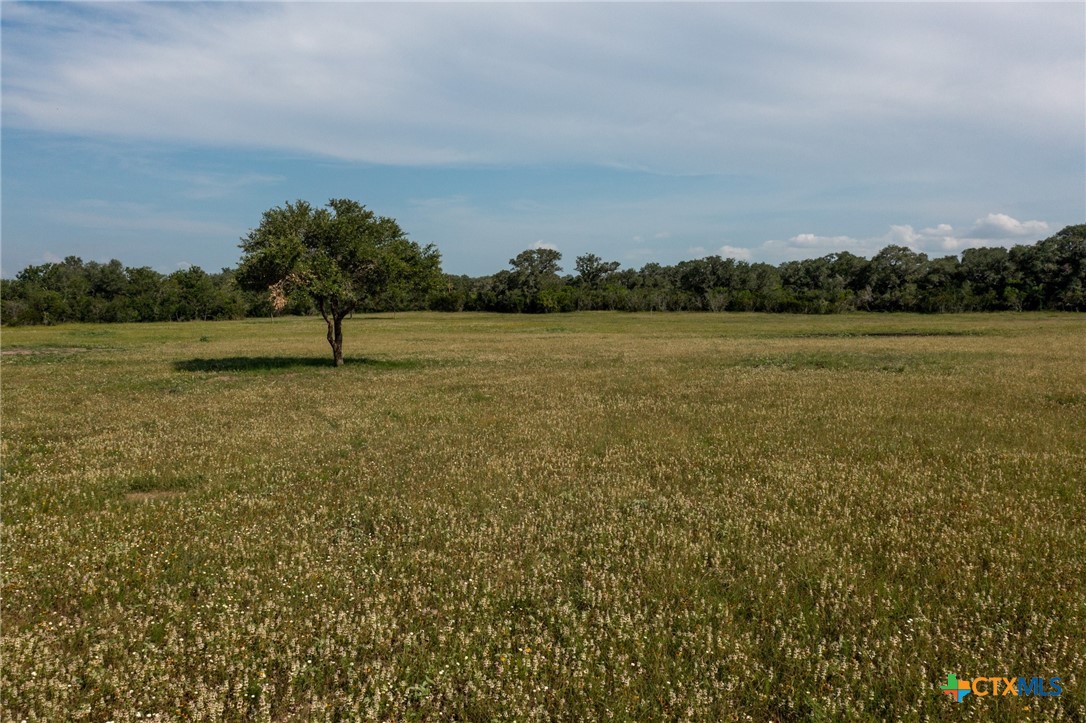 Yorktown, Texas, 78164, United States, ,Land,For Sale,1856260