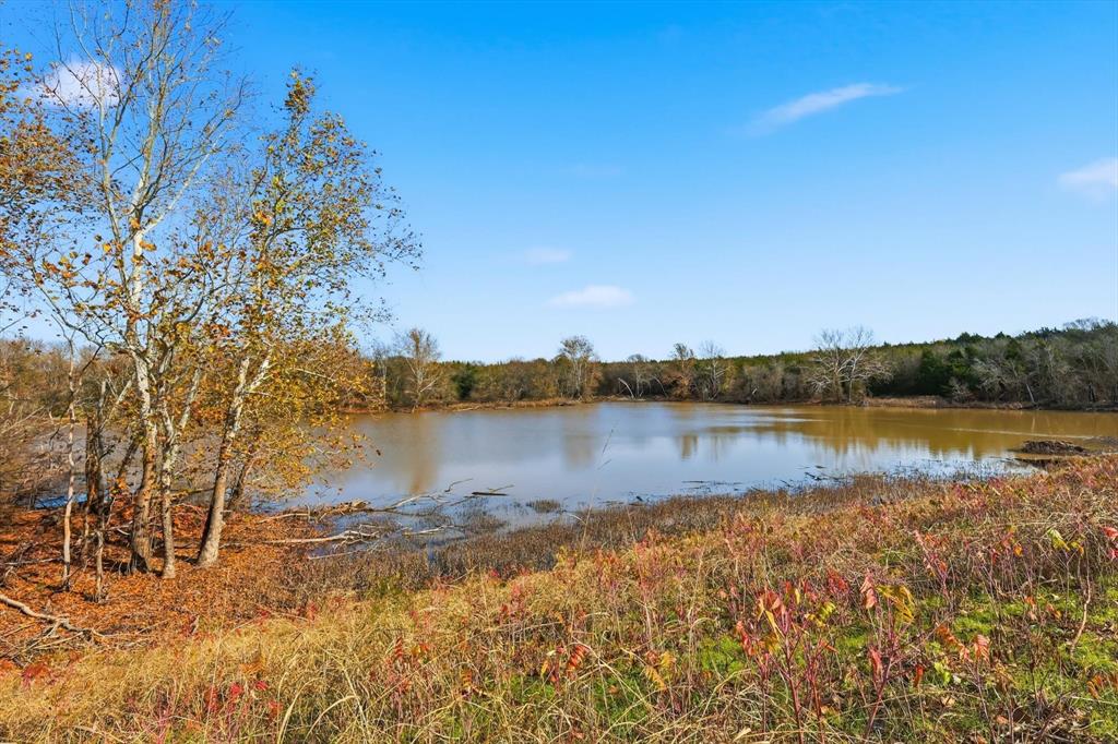 Anna, Texas, 75409, United States, ,Land,For Sale,2002997