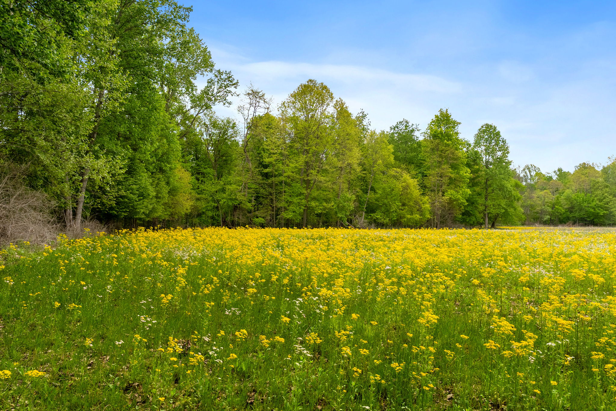 Rosedale, Indiana, 47874, United States, ,Land,For Sale,2049036