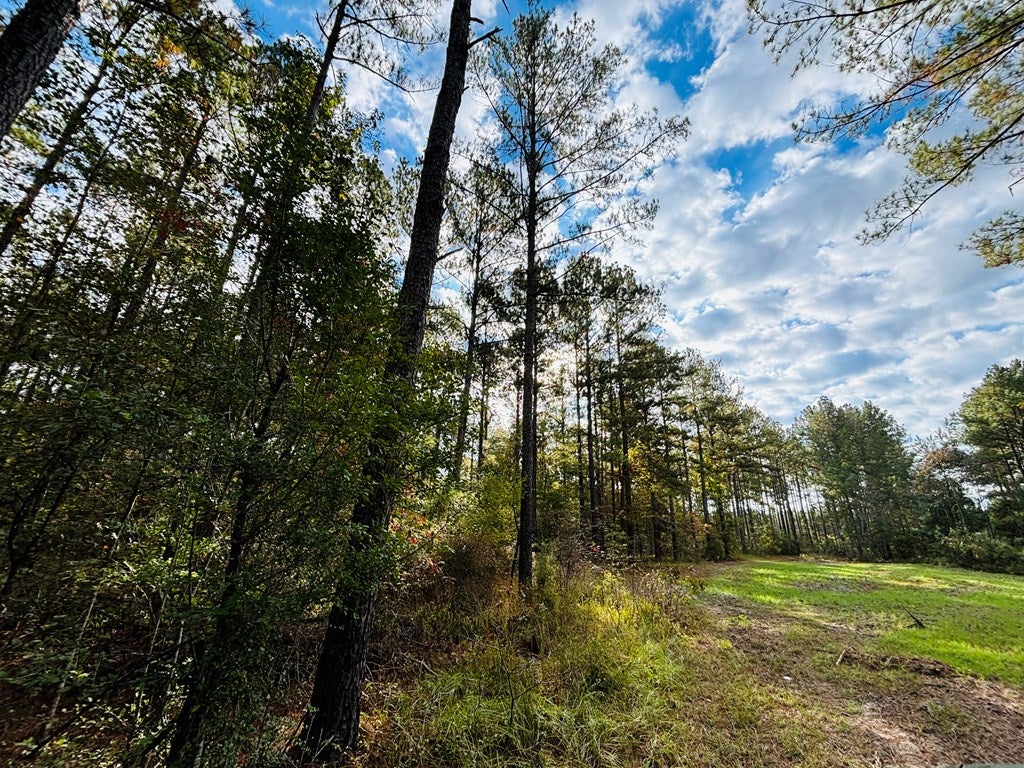 Abbeville, Georgia, 31001, United States, ,Land,For Sale,1975130