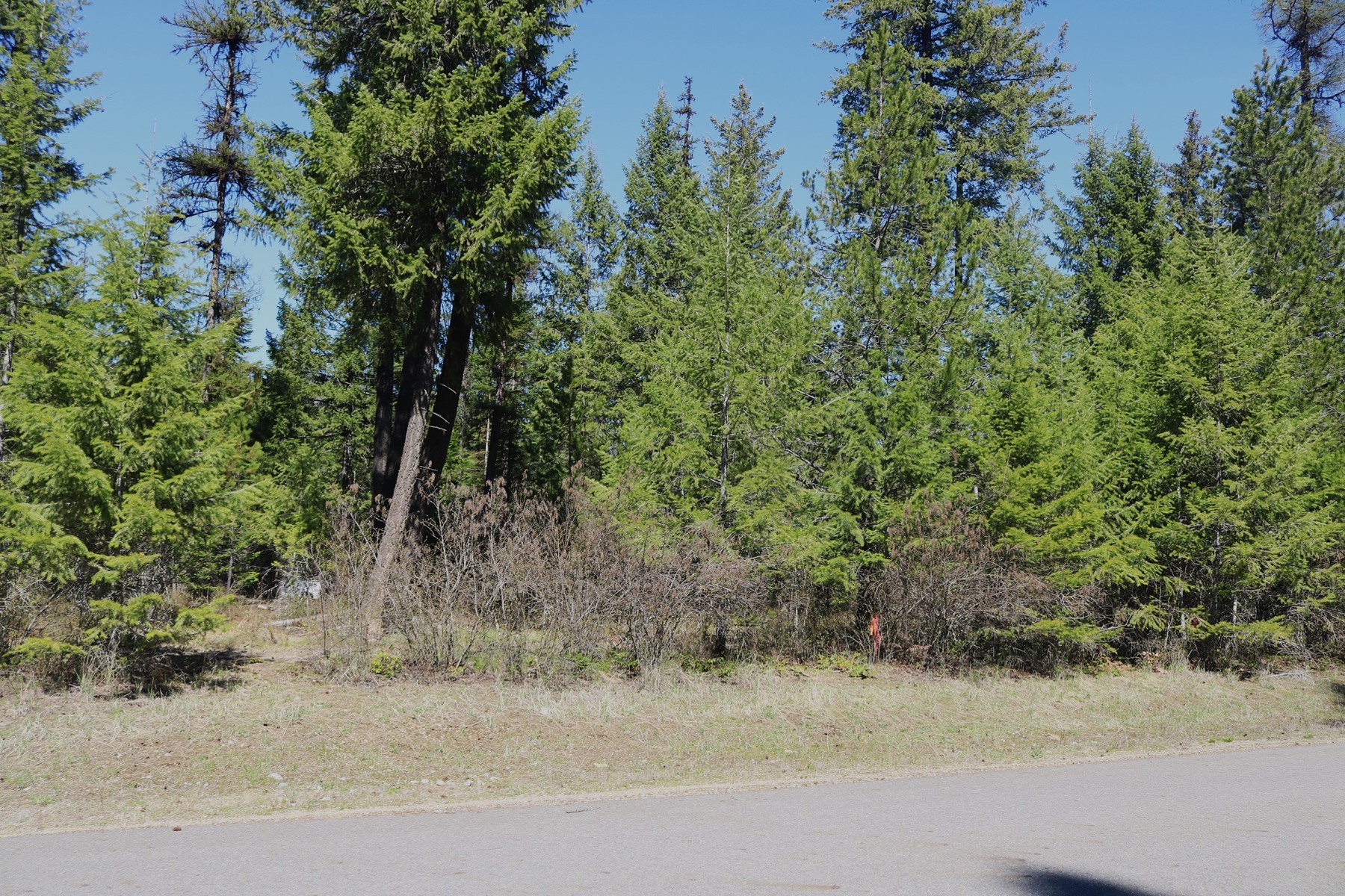  Community Waterfront Parcel - 物件實景