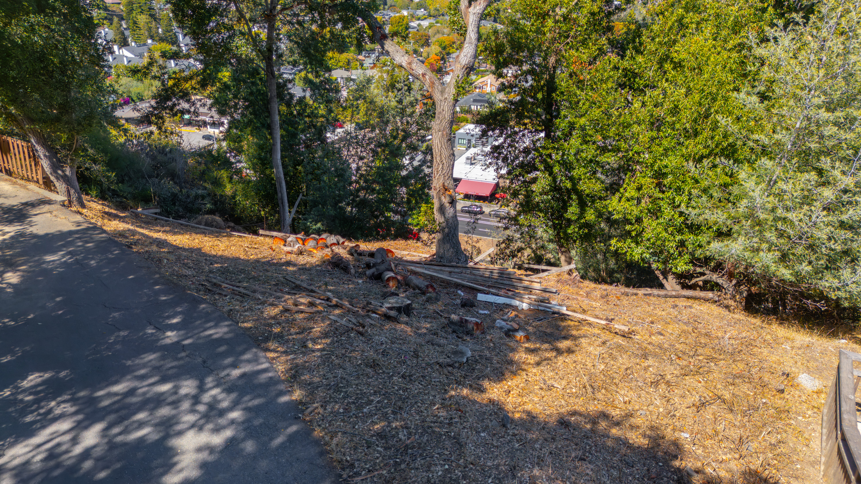  Exceptional Mill Valley Lot with Expired Approved Plans - 物件實景