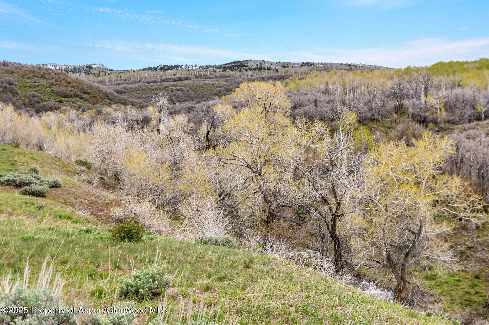 Hayden, Colorado, 81639, United States, ,Residential,For Sale,1901288