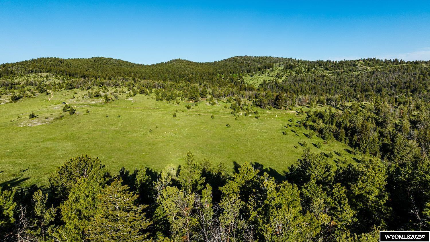Buffalo, Wyoming, 82834, United States, ,Land,For Sale,1778348