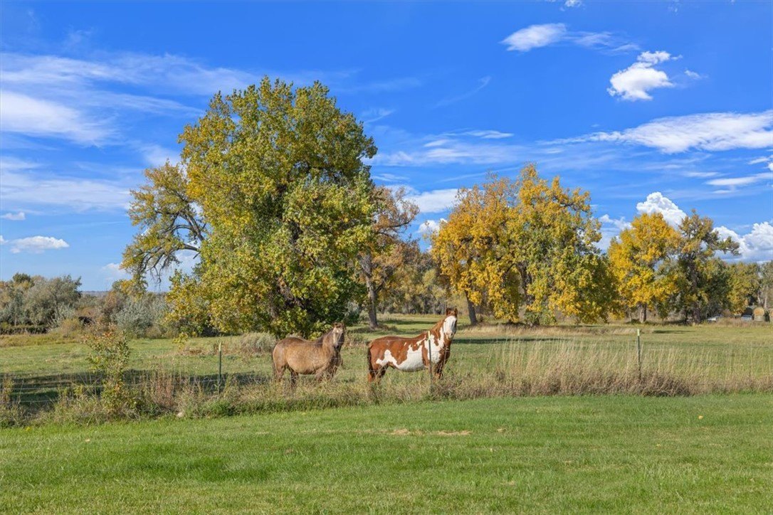 Joliet, Montana, 59044, United States, 3 Bedrooms Bedrooms, ,3 BathroomsBathrooms,Residential,For Sale,1983311