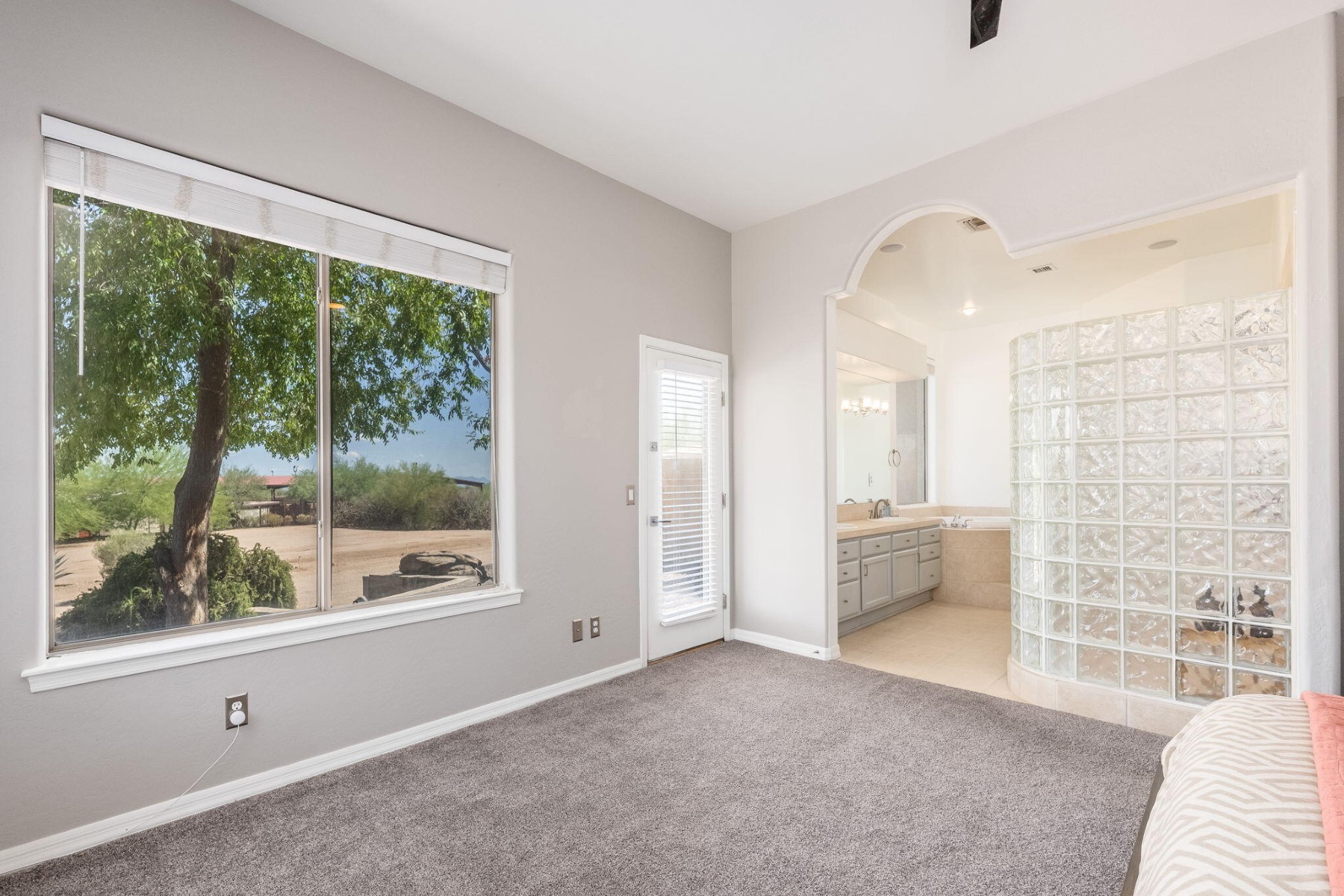  29107 N 154th Street  Scottsdale, AZ - 物件實景