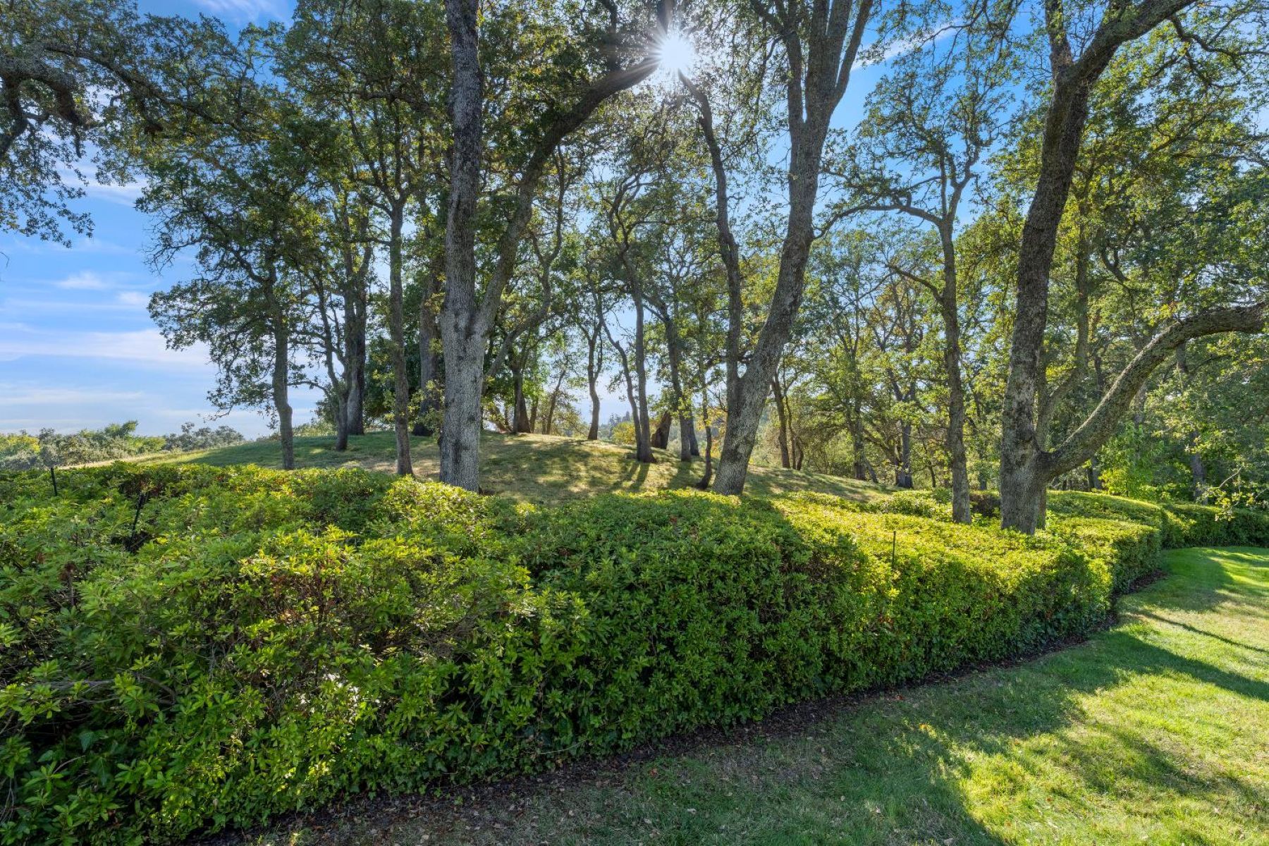 7640 Tobia Way, Fair Oaks, CA 95628 - 物件實景