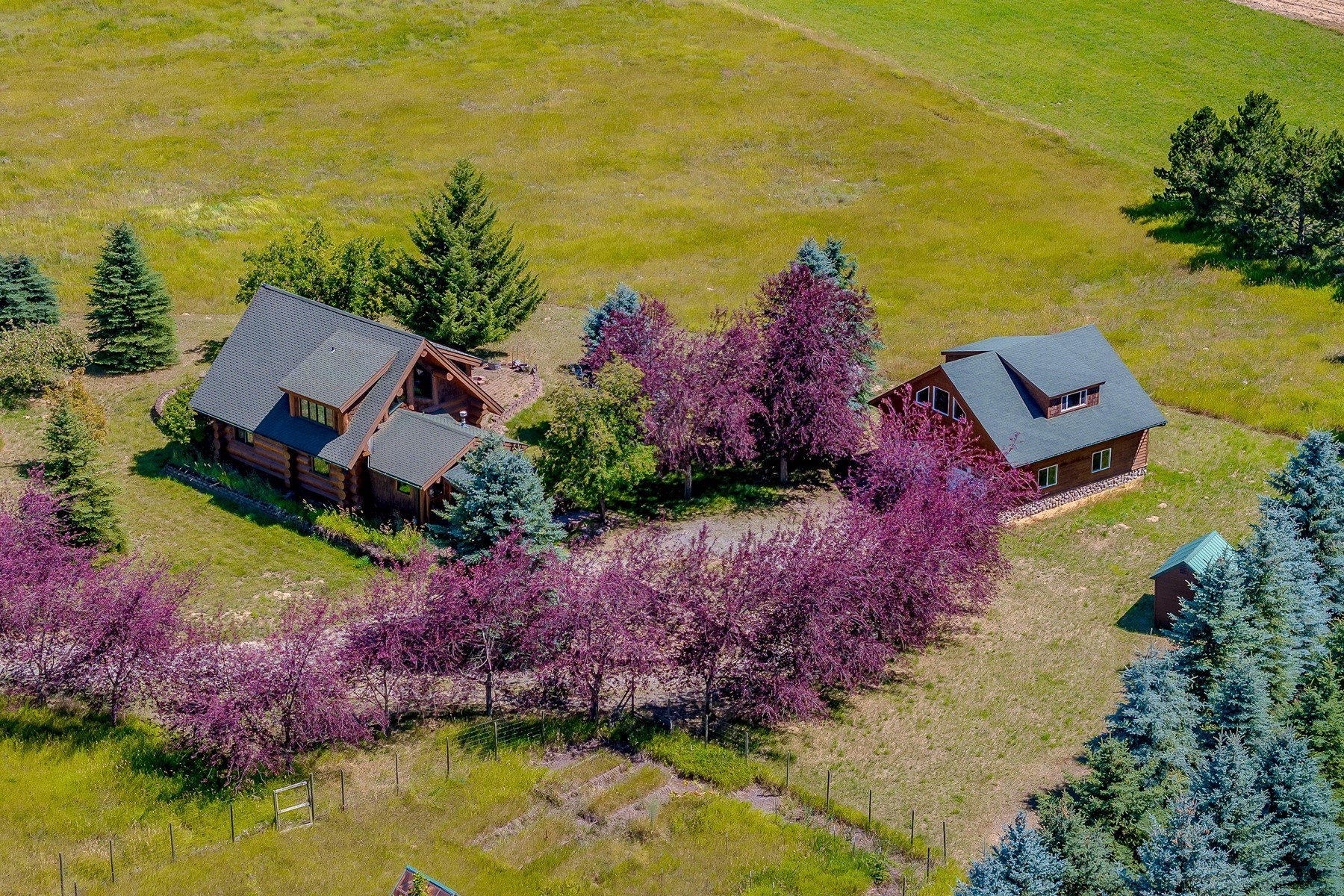  Artistic Log Home, Stunning Mountain Views - 物件實景